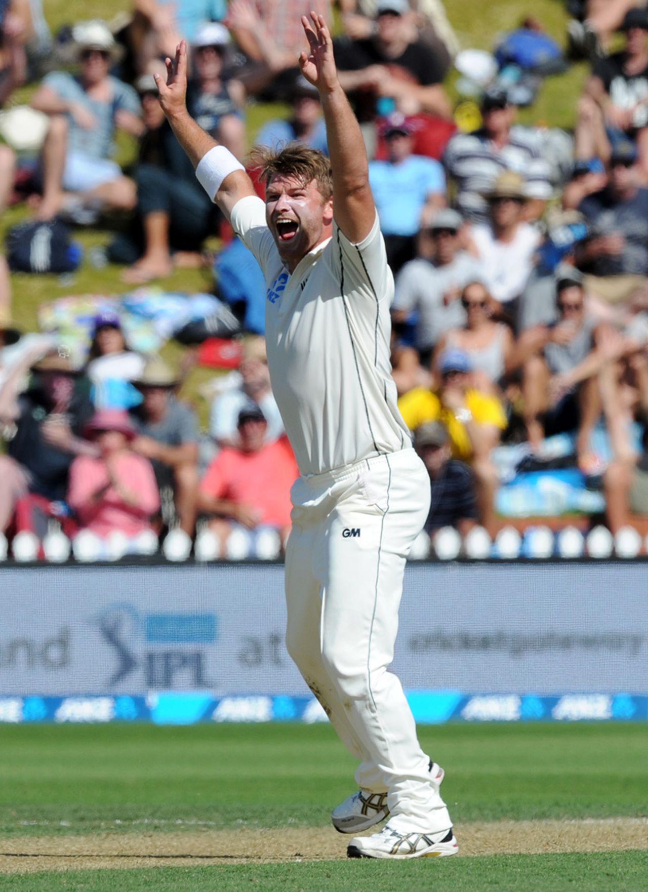 Corey Anderson found extra bounce to dismiss Peter Nevill, New Zealand v Australia, 1st Test, Wellington, 2nd day, February 13, 2016