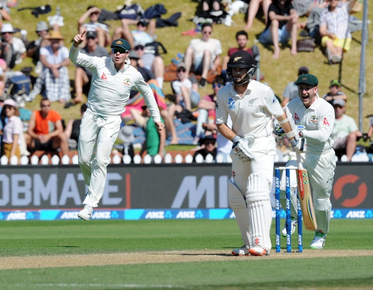 Steven Smith and Peter Nevill celebrate after having Kane Williamson caught behind, New Zealand v Australia, 1st Test, Wellington, 3rd day, February 14, 2016