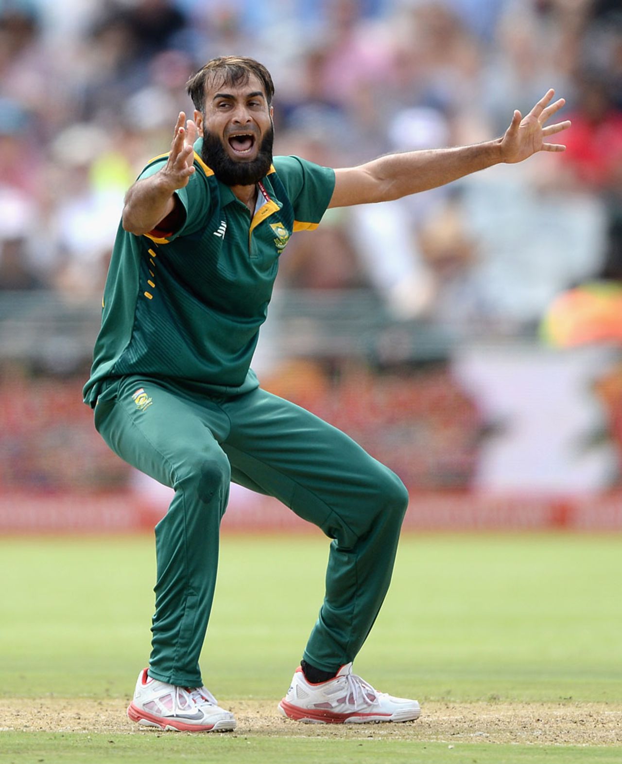 Imran Tahir pleads for the wicket of Joe Root, South Africa v England, 5th ODI, Cape Town, February 14, 2016