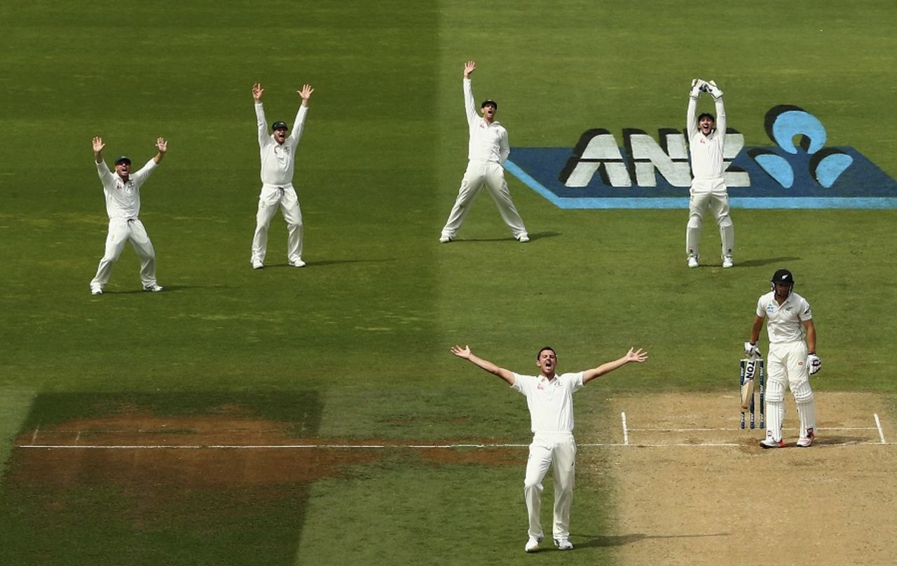 Josh Hazlewood trapped Doug Bracewell lbw, New Zealand v Australia, 1st Test, Wellington, 4th day, February 15, 2016