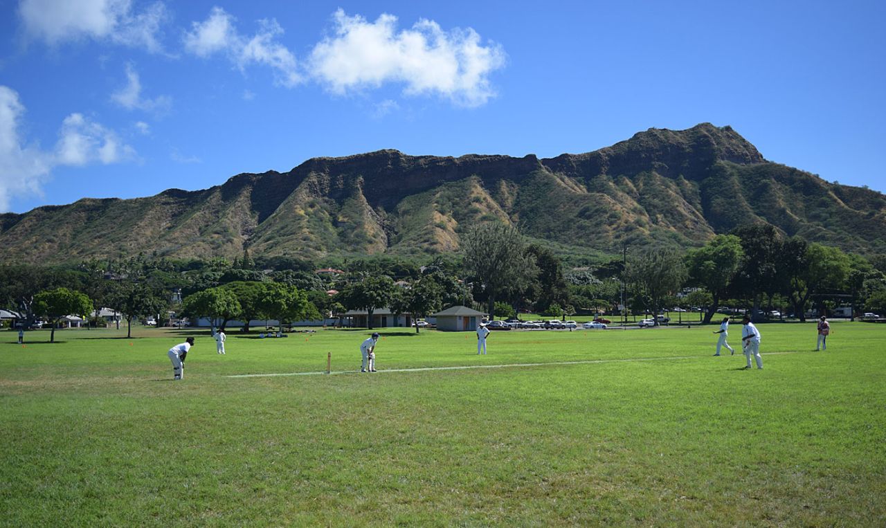 A cricket match in Kapiolani Park in Honolulu, Hawaii, January 31, 2016