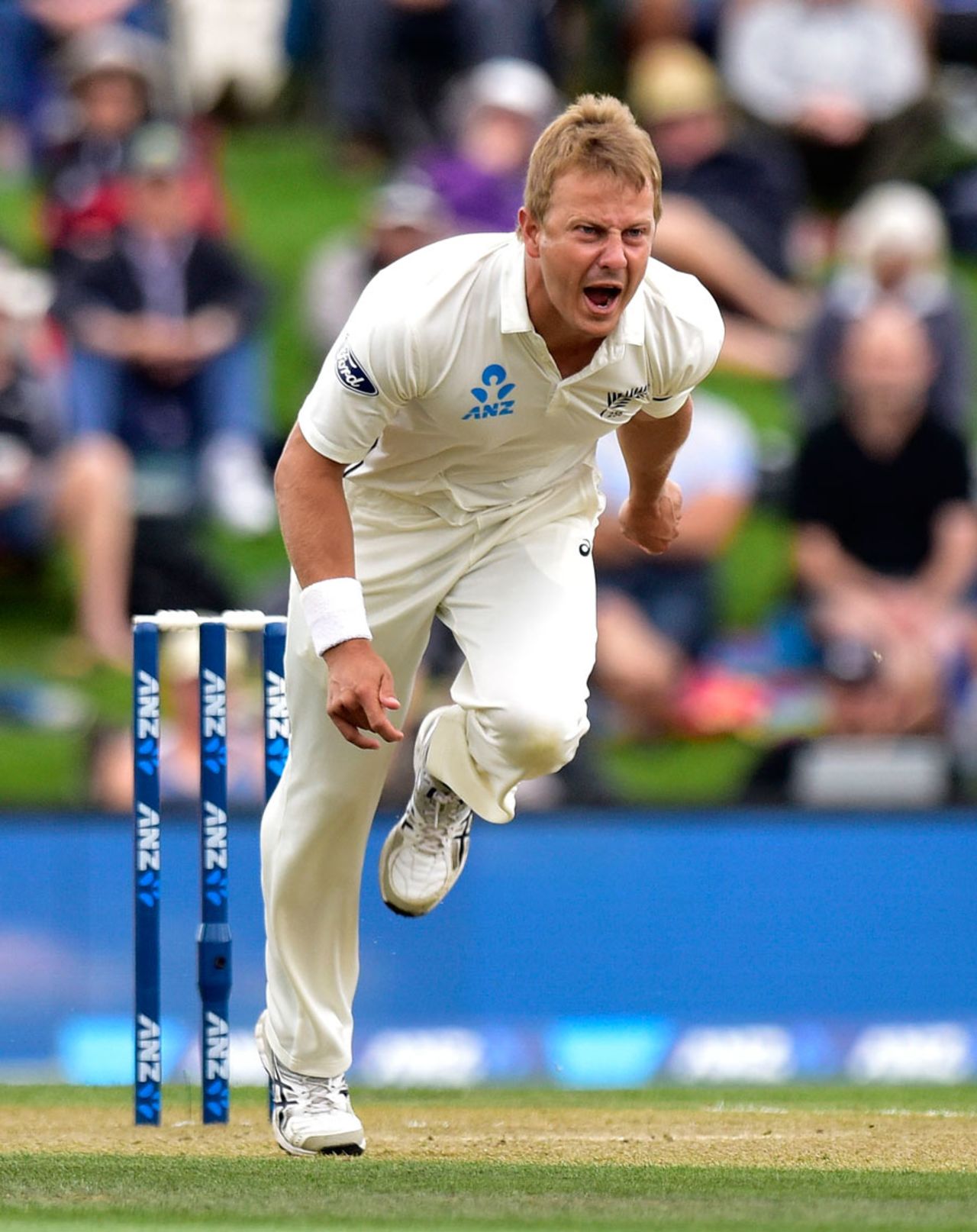 Neil Wagner in his follow-through, New Zealand v Australia, 2nd Test, Christchurch, 3rd day, February 22, 2016