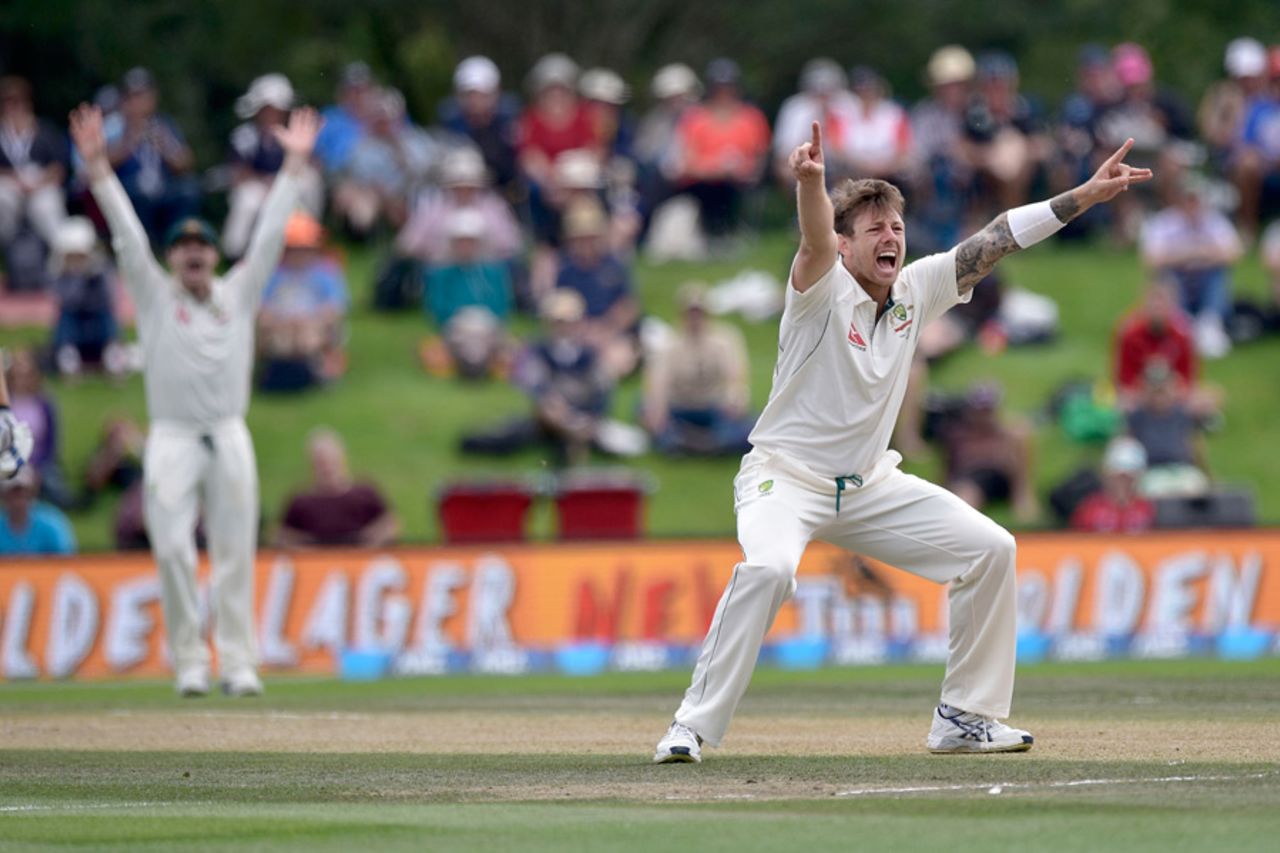 James Pattinson appeals for an lbw against Kane Williamson, New Zealand v Australia, 2nd Test, Christchurch, 4th day, February 23, 2016