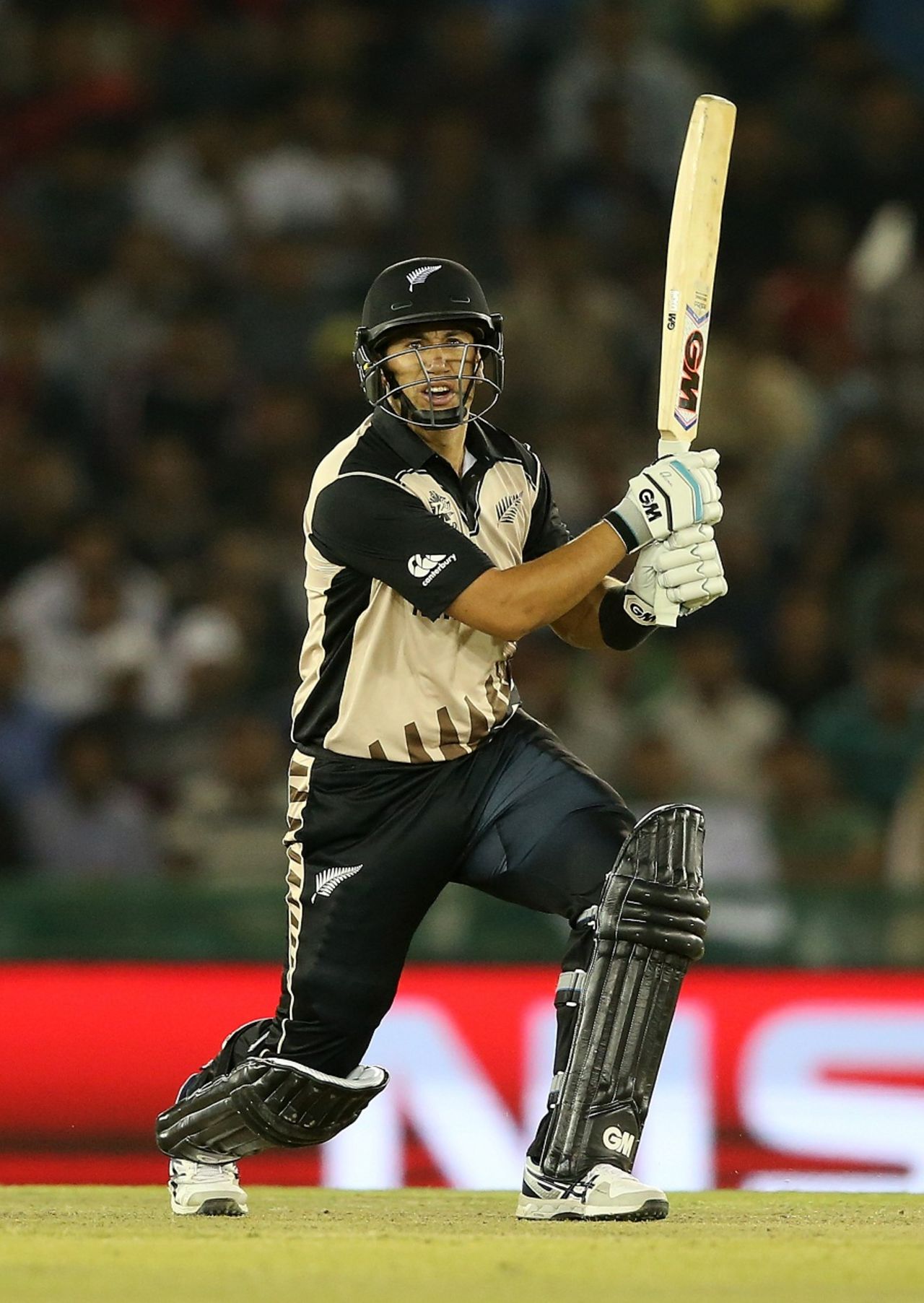Ross Taylor made a vital 36*, New Zealand v Pakistan, World T20 2016, Group 2, Mohali, March 22, 2016
