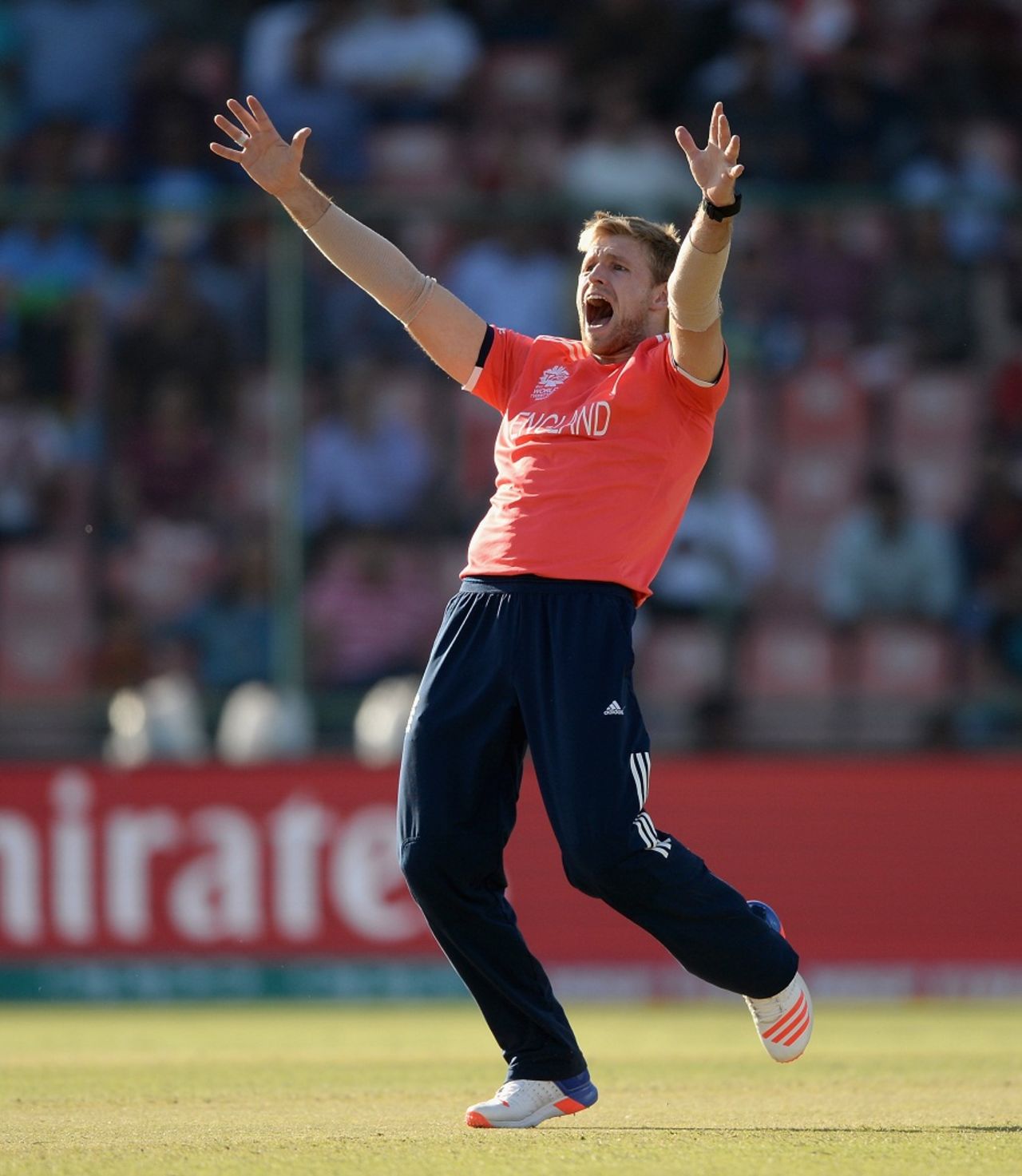 David Willey appeals for a wicket, Afghanistan v England, World T20 2016, Group 1, Delhi, March 23, 2016