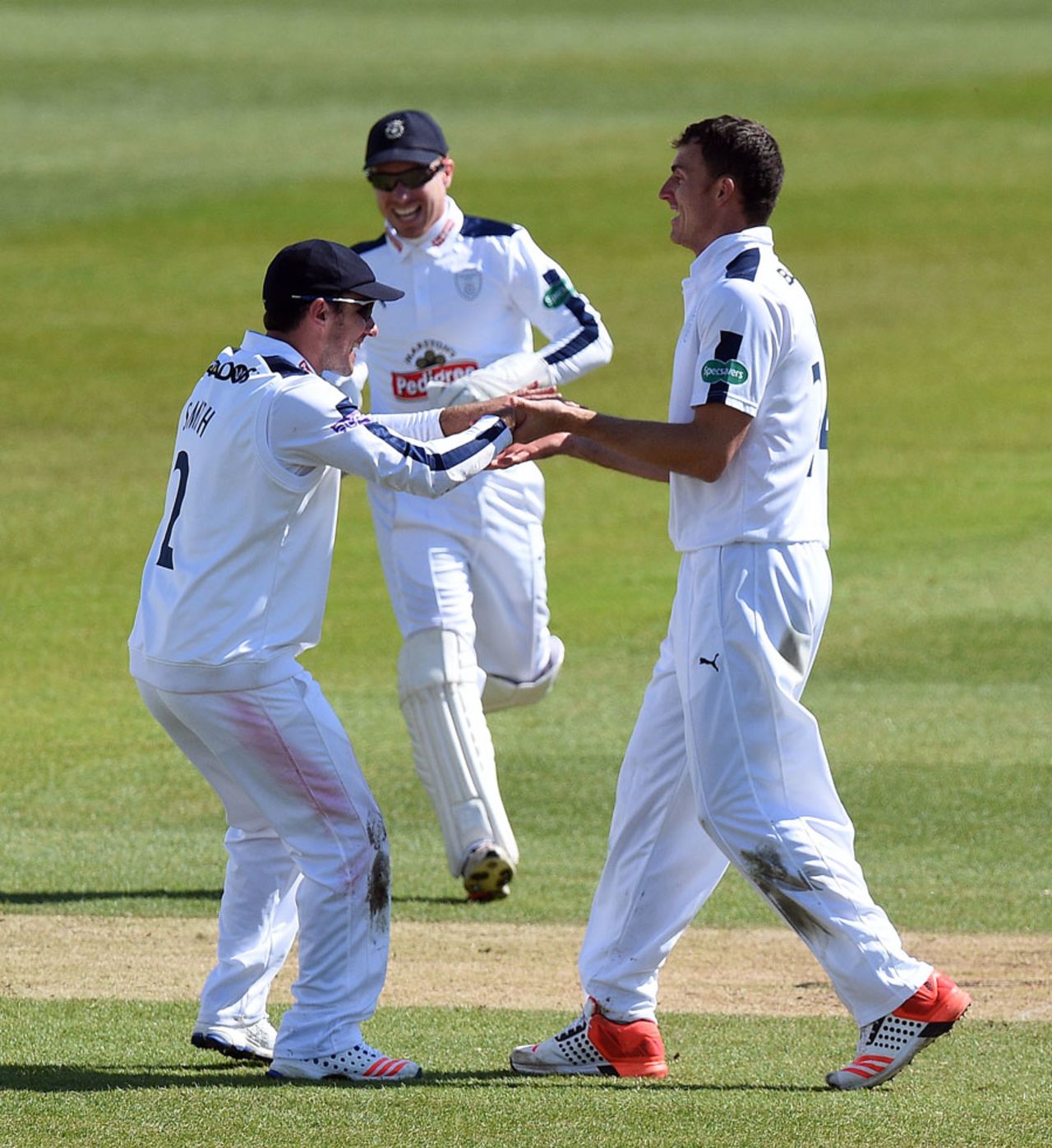 Ryan McLaren celebrates the wicket of Sam Hain, Specsavers County Championship, Division One, Ageas Bowl, 3rd day, April 12, 2016