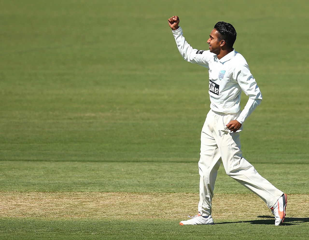 Arjun Nair celebrates a wicket, New South Wales v South Australia, Sheffield Shield 2015-16, 1st day, Coff's Harbour, February 25, 2016