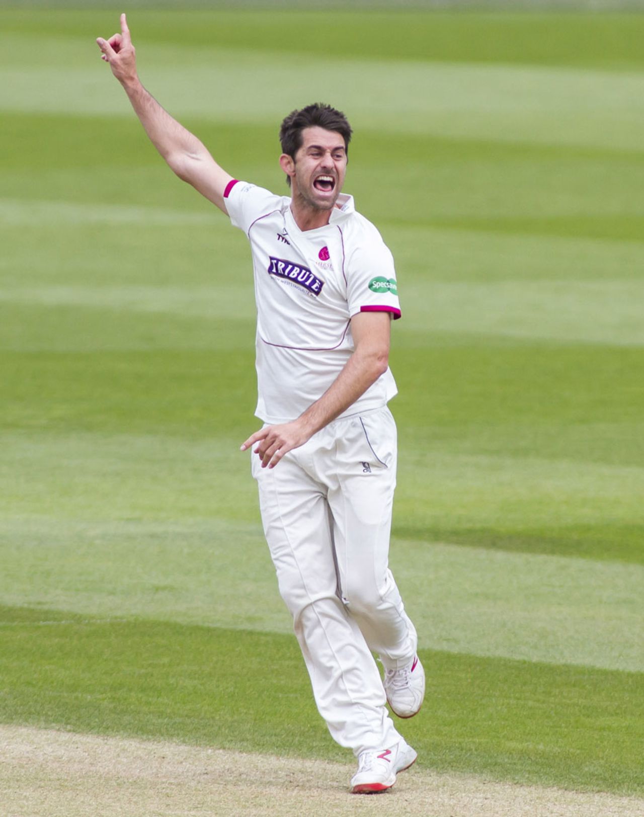 Tim Groenewald finished with a five-wicket haul, Surrey v Somerset, Specsavers County Championship, Division One, The Oval, 2nd day, April 25, 2016