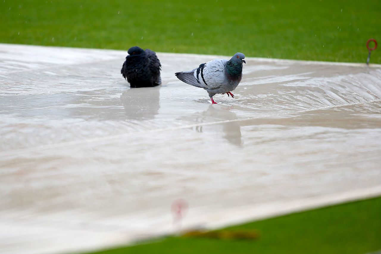 The covers at the Kia Oval become a bird bath, Surrey v Middlesex, County Championship, Division One, Kia Oval, 4th day, May 18, 2016