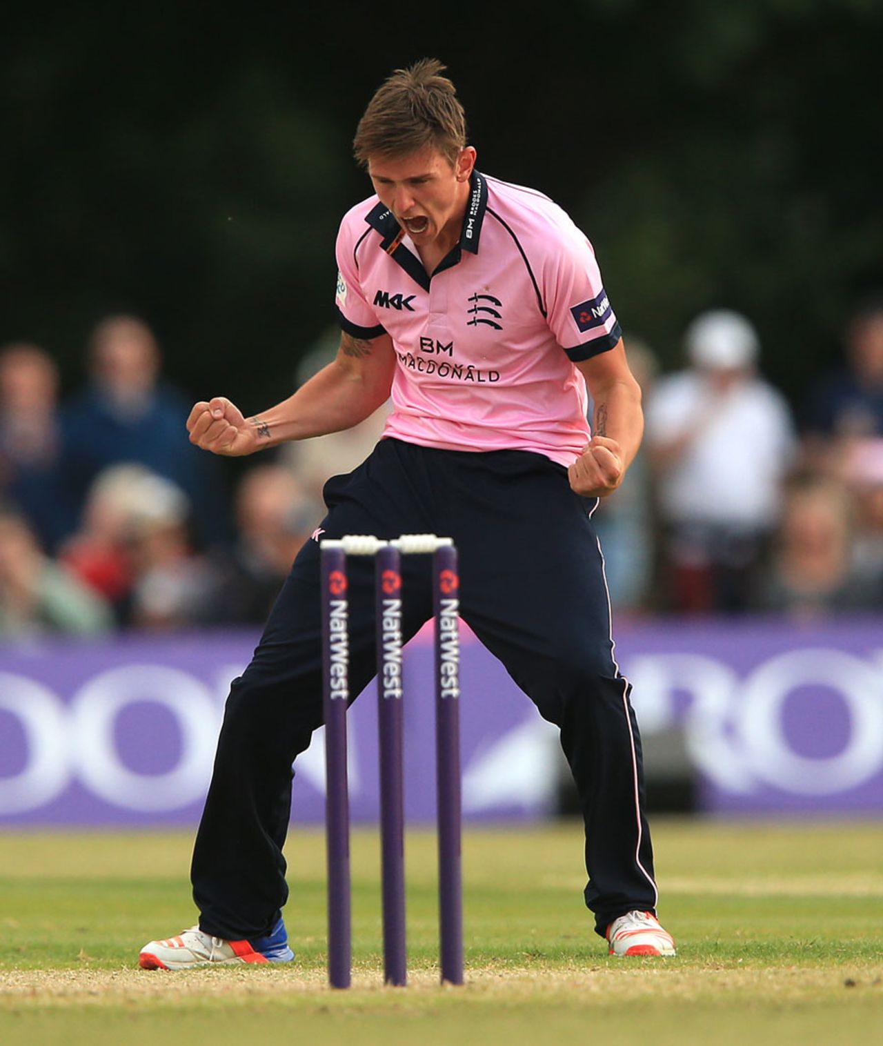 Harry Podmore celebrates a wicket, Middlesex v Hampshire, NatWest T20 Blast, South Group, Uxbridge, May 27, 2016