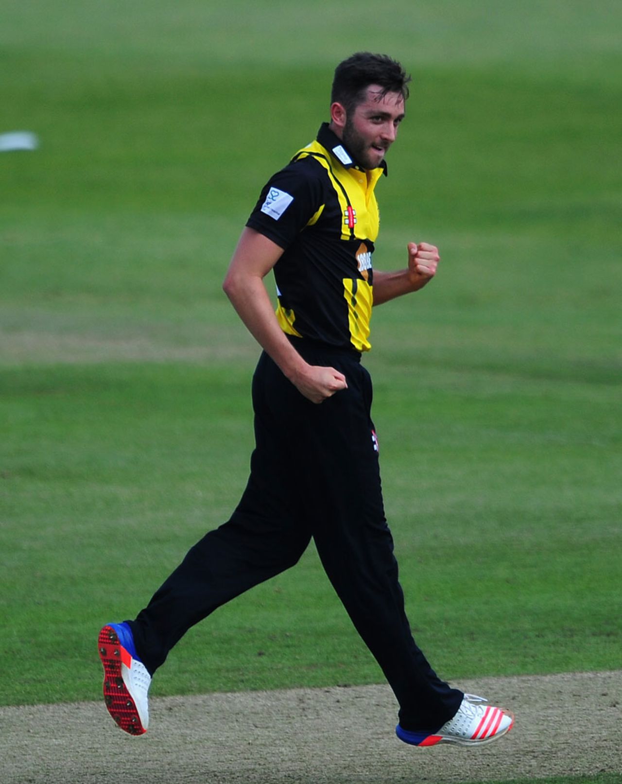 Matt Taylor picked up an early wicket, Somerset v Gloucestershire, Royal London Cup, South Group, Taunton, June 5, 2016