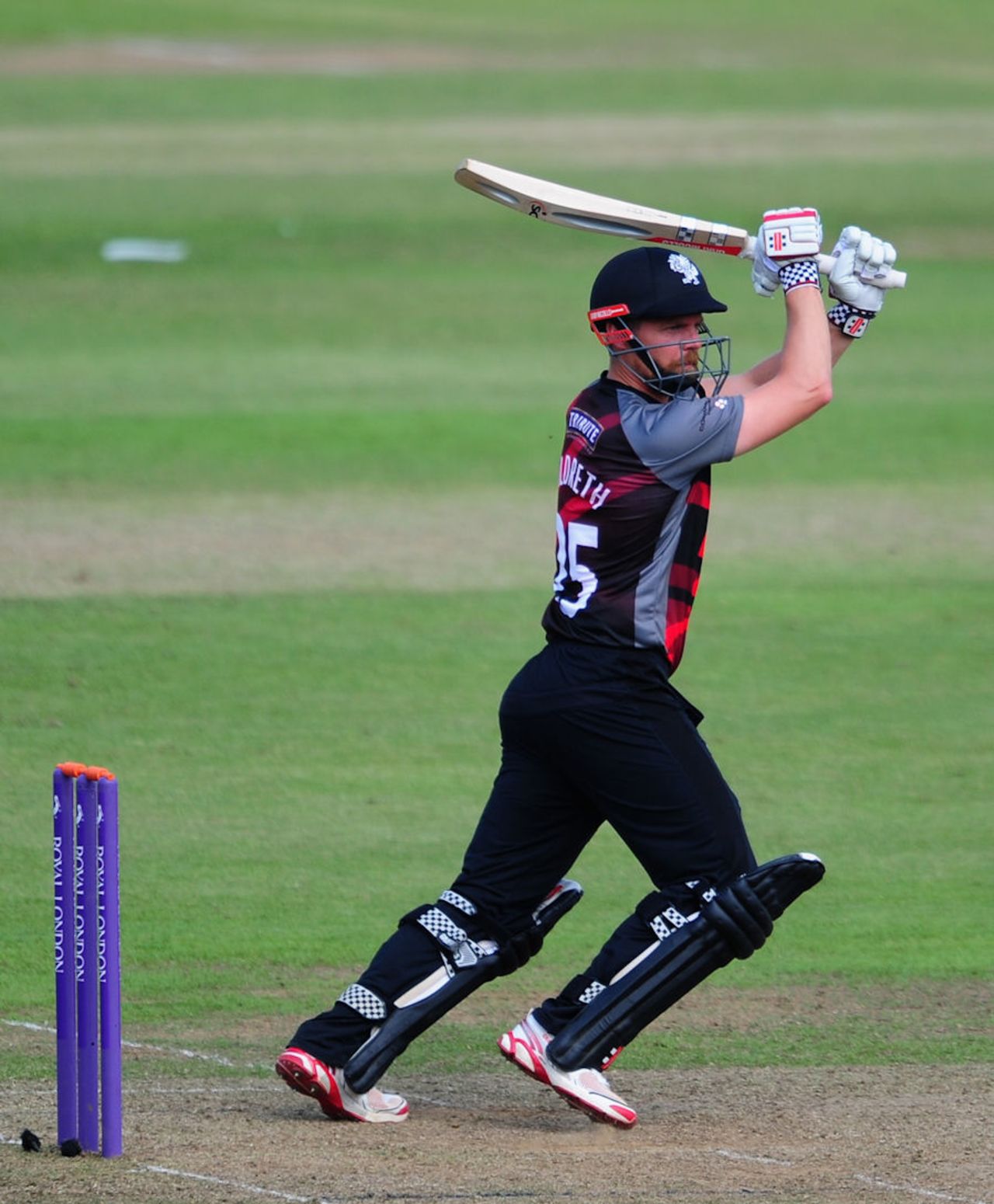 James Hildreth has been in fine form for Somerset, Somerset v Gloucestershire, Royal London One-Day Cup, Taunton, June 5, 2016