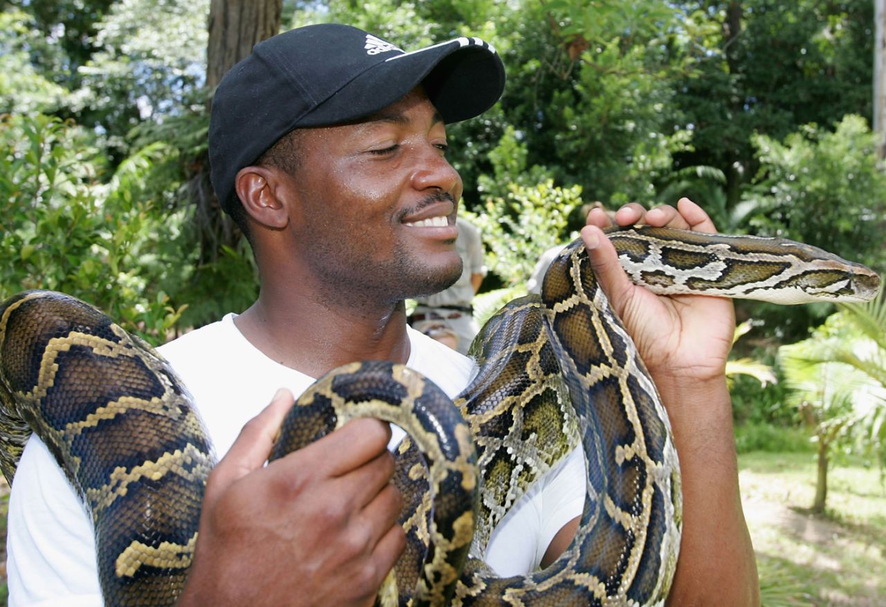 Brian Lara holds a python at Australia Zoo, Beerwah, Sunshine Coast, January 16, 2005