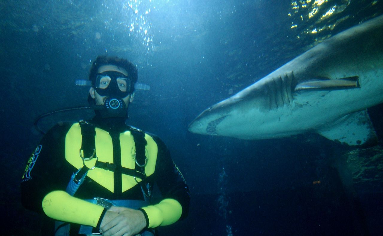 A shark swims past Jason Gillespie in Underwater World on the Sunshine Coast, June 17, 2002