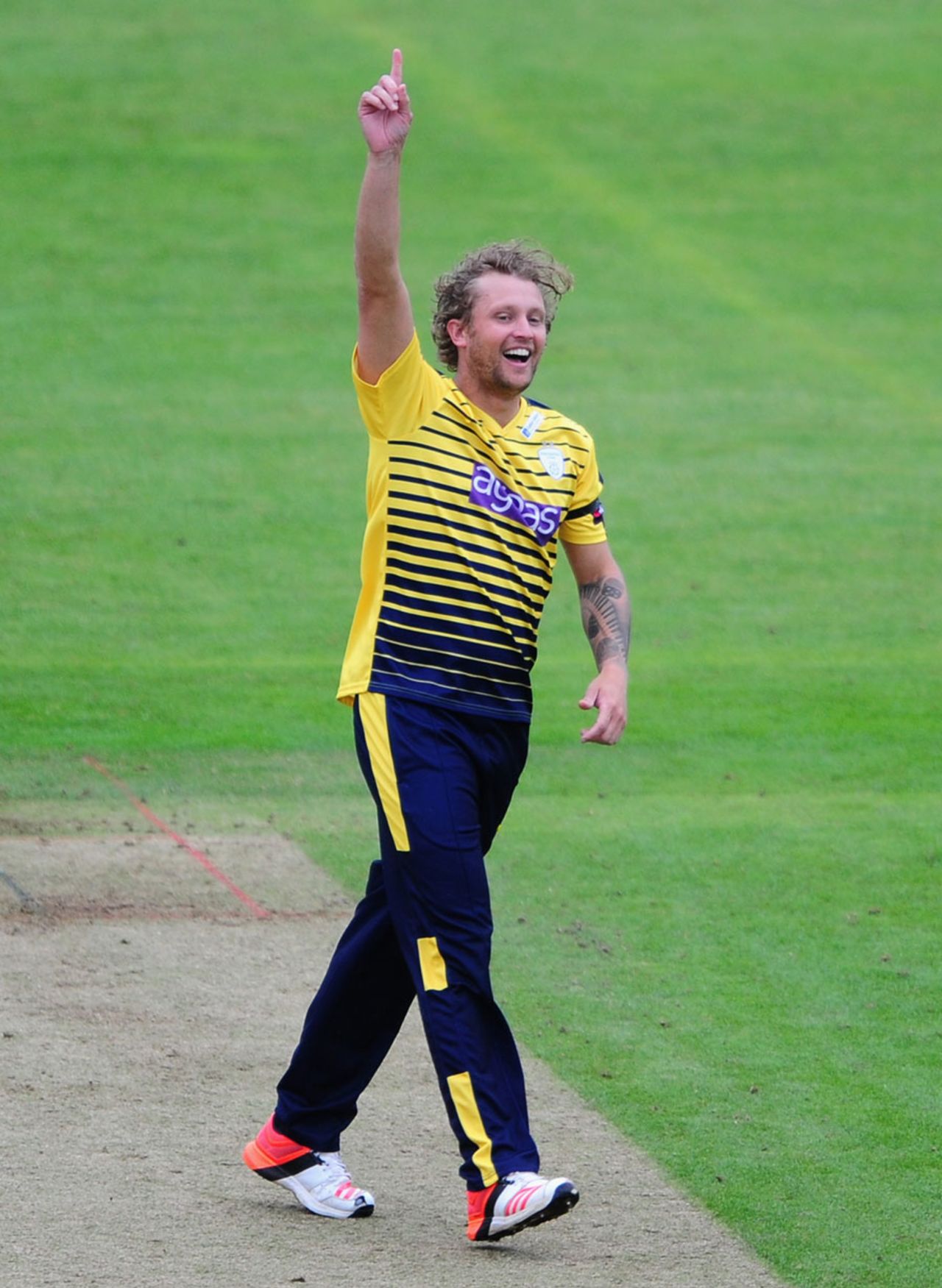 Gareth Berg picked up a couple of wickets, Somerset v Hampshire, NatWest T20 Blast, South Group, June 19, 2016