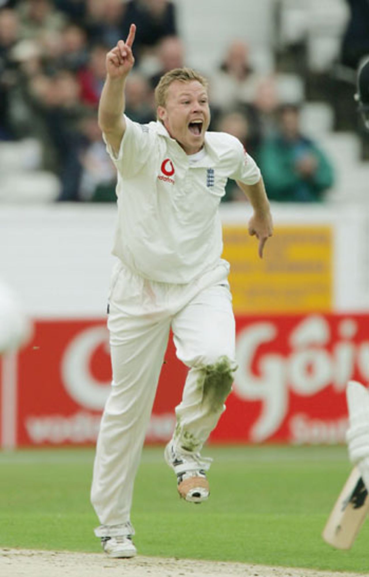 Martin Saggers celebrates bowling Mark Richardson, England v New Zealand, 2nd Test, Headingley, June 3, 2004