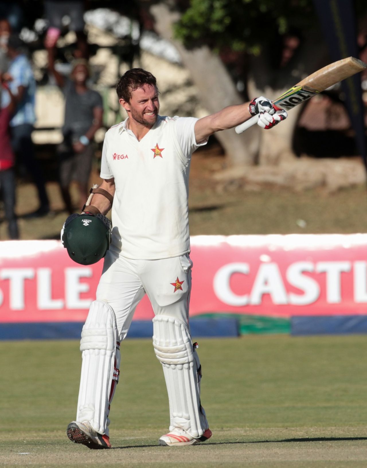 Craig Ervine celebrates his century, Zimbabwe v New Zealand, 2nd Test, Bulawayo, 3rd day, August 8, 2016