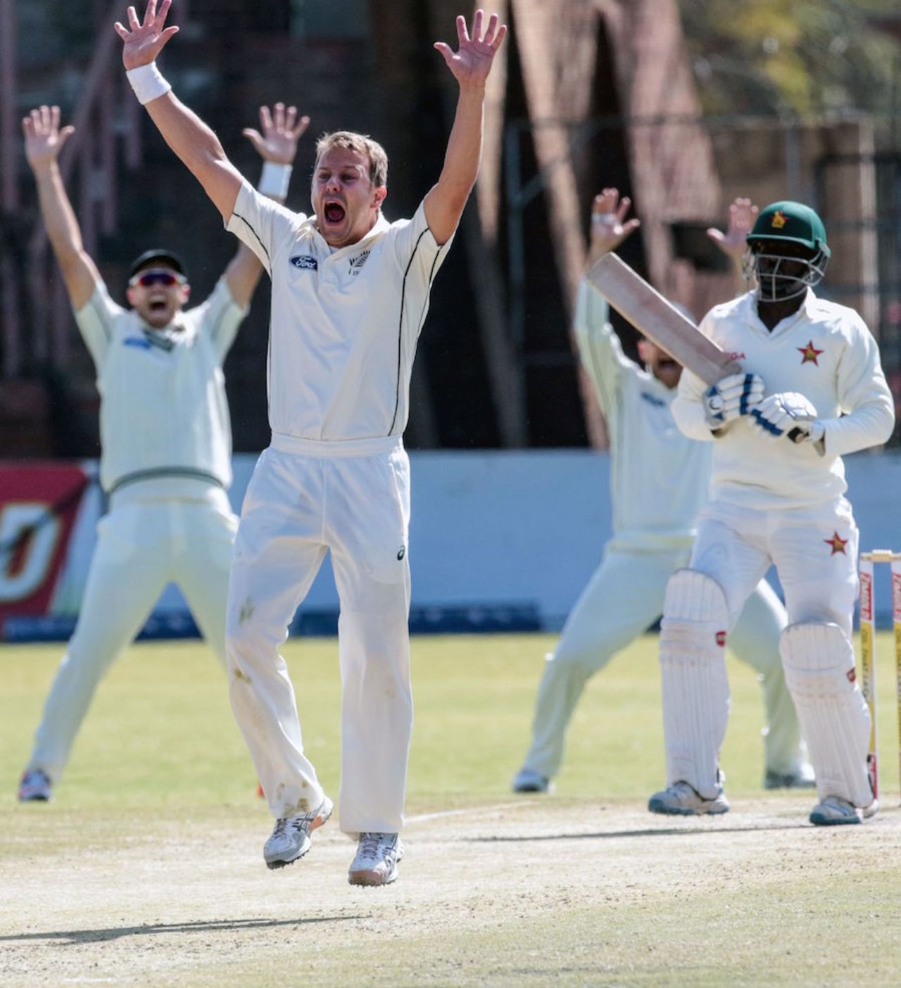 Neil Wagner appeals for lbw, Zimbabwe v New Zealand, 2nd Test, Bulawayo, 4th day, August 9, 2016