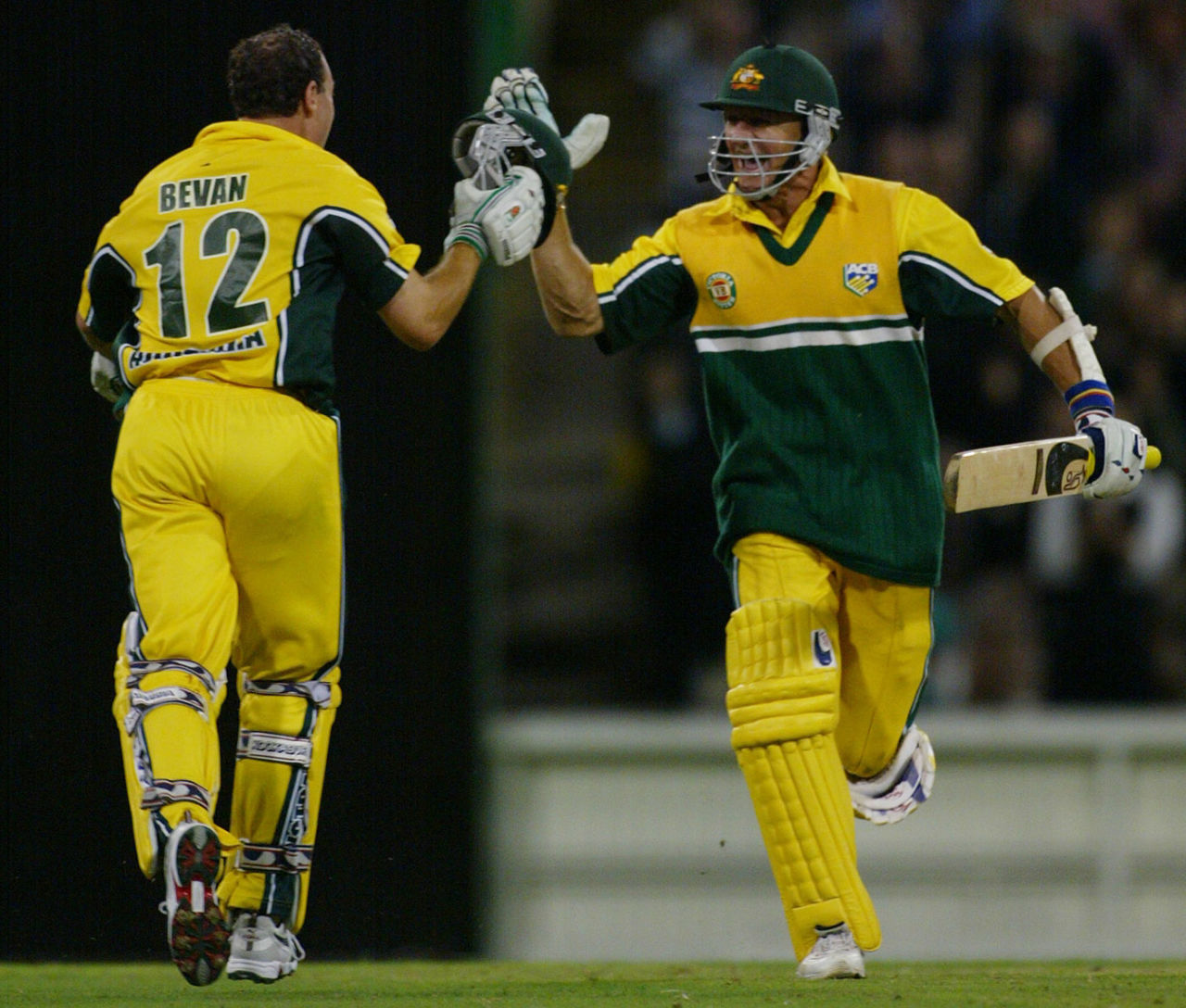 Michael Bevan and Andy Bichel celebrate Australia's two-wicket win, Australia v New Zealand, VB Series, Melbourne, January 29, 2002