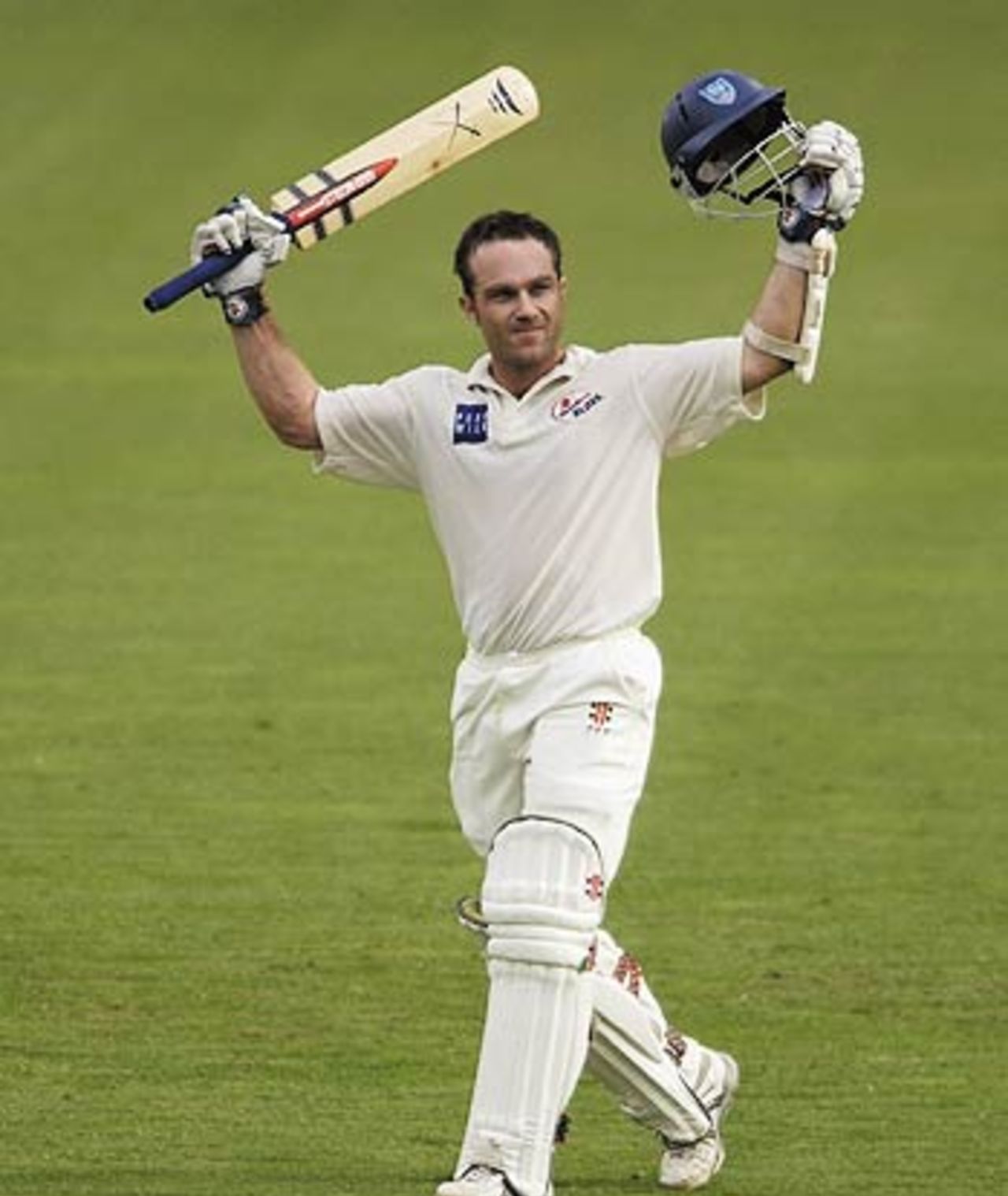 A masterful hundred the a low-scoring Pura Cup final last year, New South Wales v Queensland, Brisbane, March 14, 2003