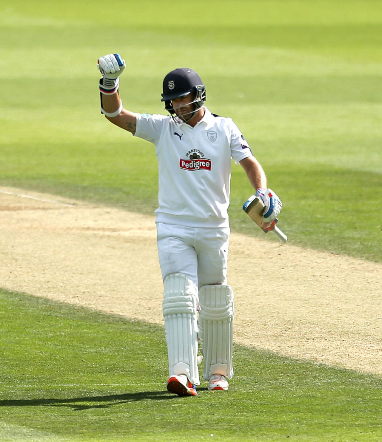 Sean Ervine punches the air after reaching his century, Surrey v Hampshire, County Championship, Division One, The Oval, 2nd day, September 8, 2016