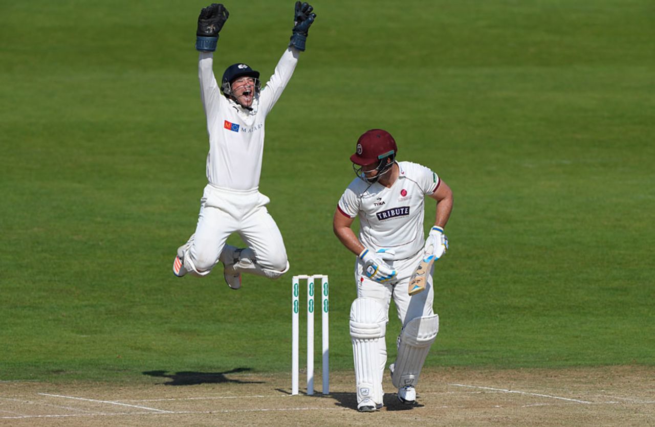 Andy Hodd's excited appeal proved successful as Jim Allenby was given lbw, Yorkshire v Somerset, County Championship, Division One, Headingley, 2nd day, September 13, 2016