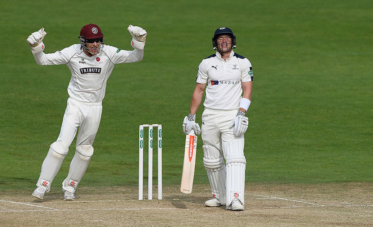 Andy Hodd falls lbw as Somerset close in on victory, Yorkshire v Somerset, County Championship, Division One, Headingley, 3rd day, September 14, 2016