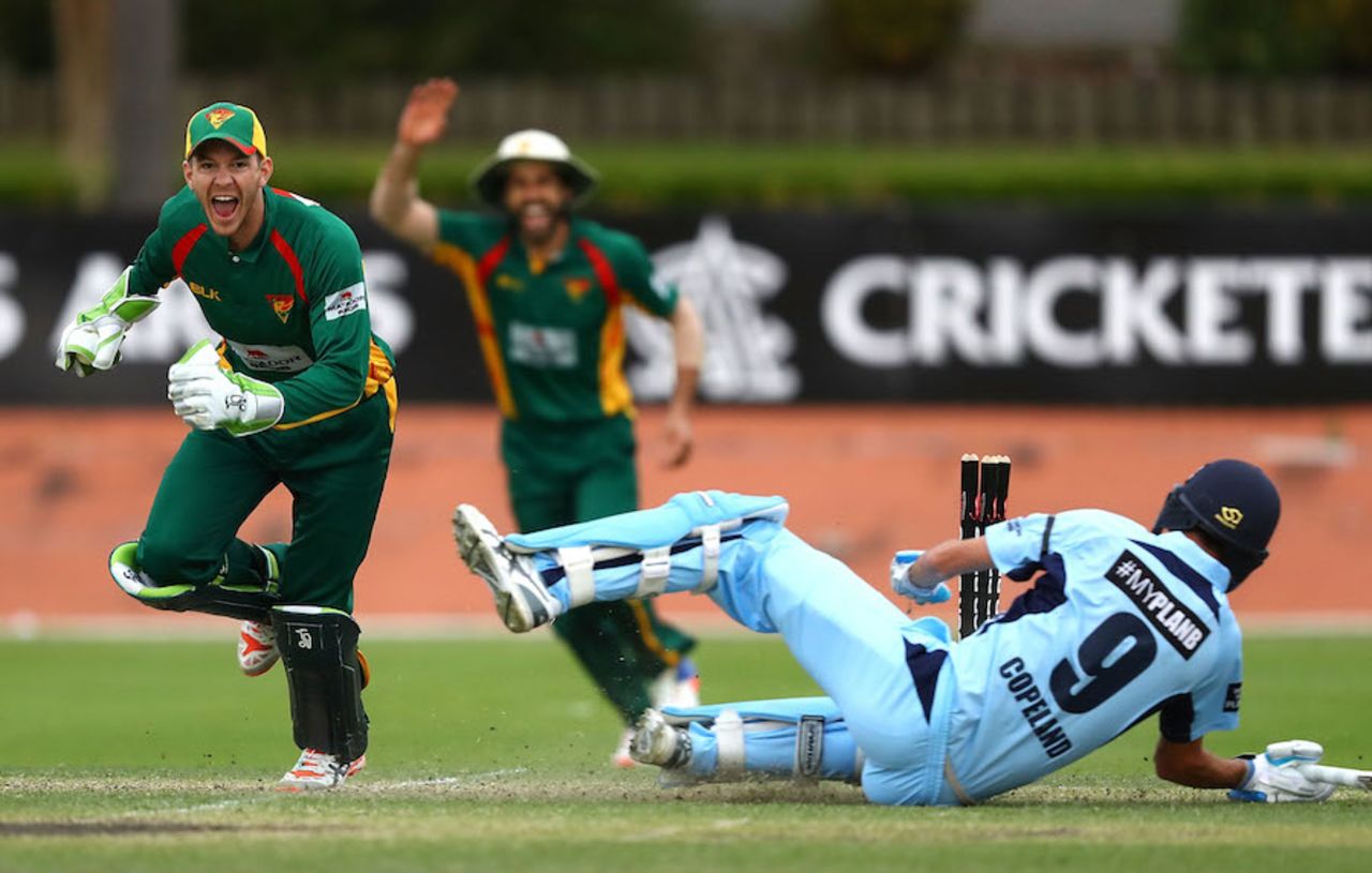 Tim Paine celebrates the winning wicket, New South Wales v Tasmania, Matador Cup, Hurstville Oval, Sydney, October 9, 2016
