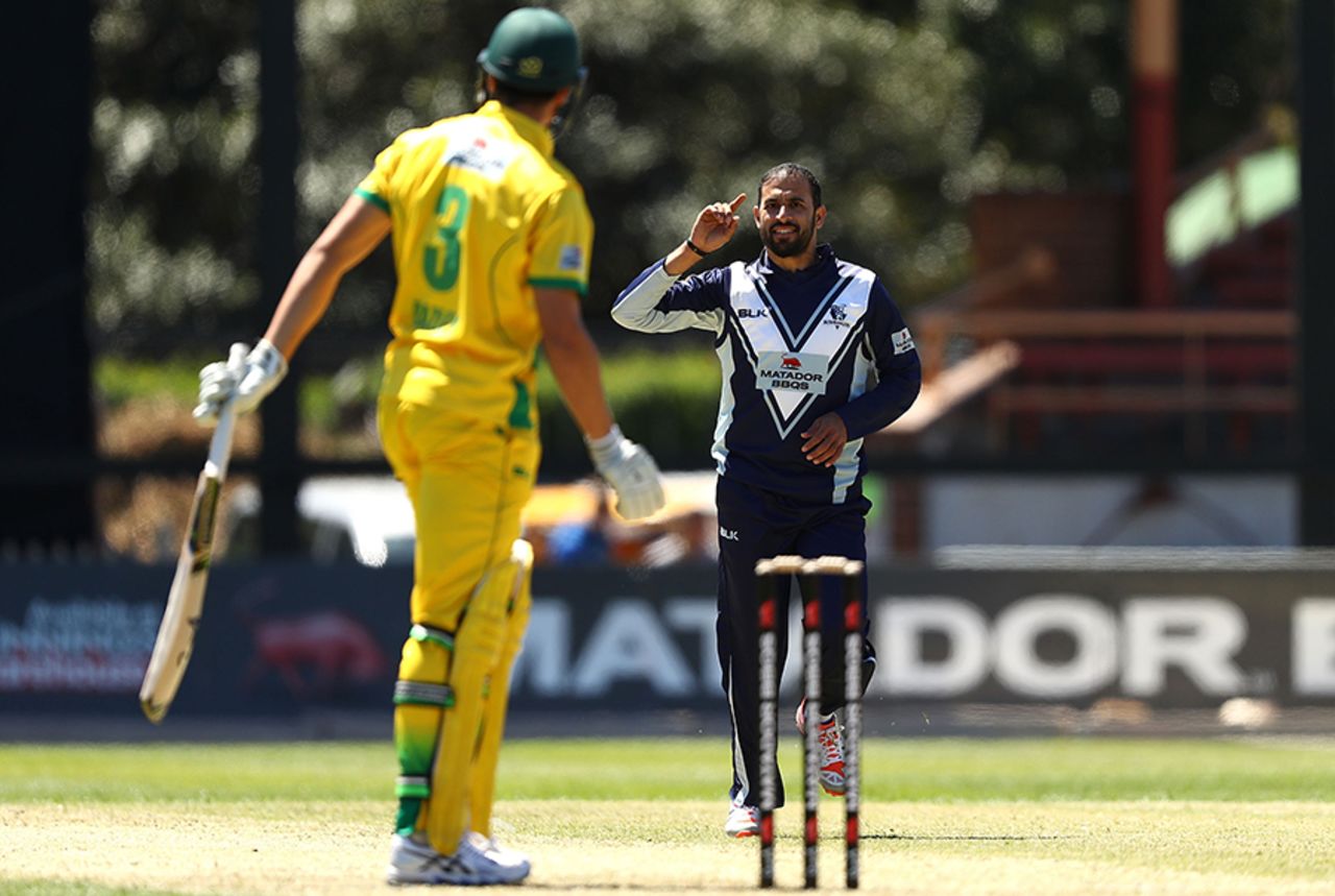 Fawad Ahmed celebrates after dismissing James Bazley for a first-ball duck, Victoria v Cricket Australia XI, Matador Cup 2016-17, Sydney, October 11, 2016