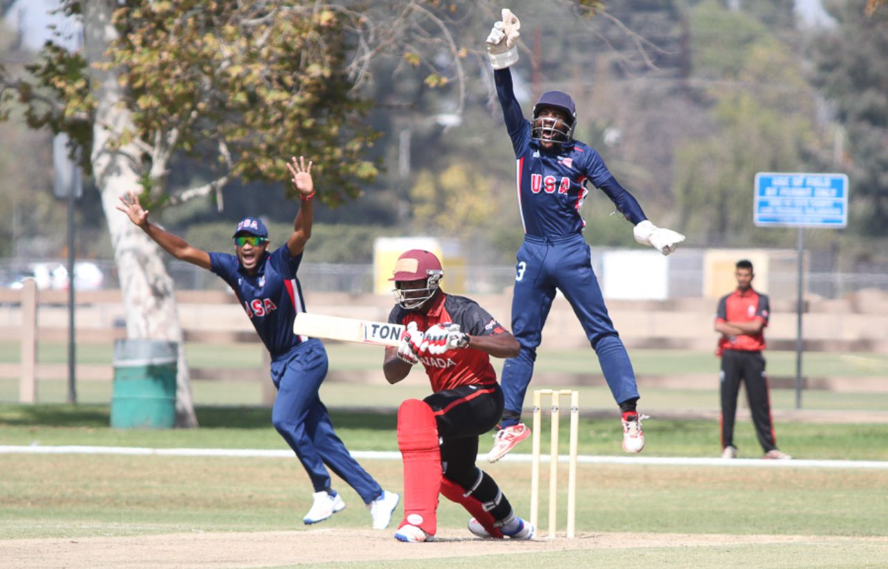 Wicketkeeper Akeem Dodson shouts for a successful lbw appeal, USA v Canada, Auty Cup, Los Angeles, October 13, 2016