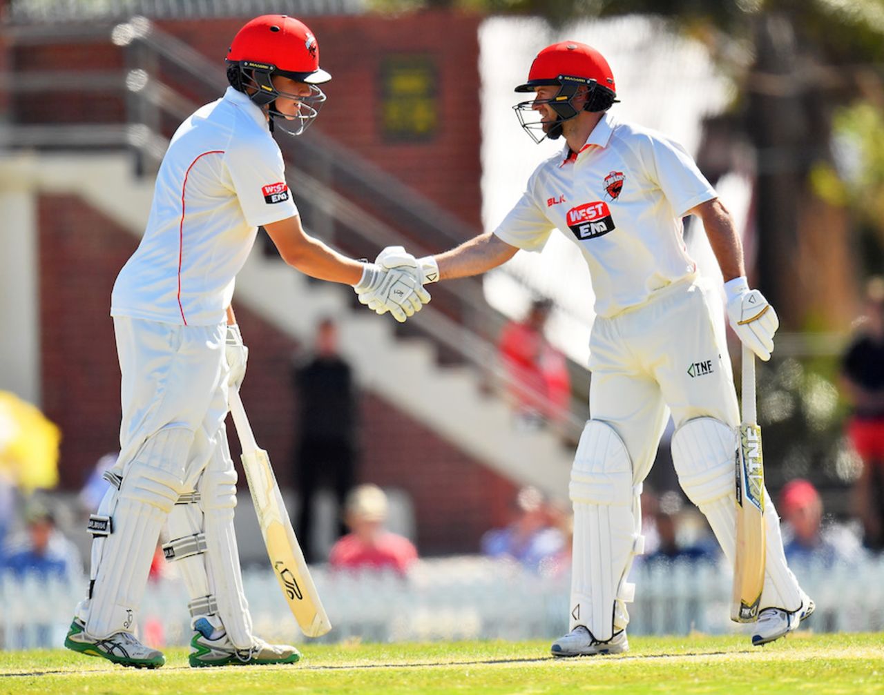 Tim Ludeman and Jake Winter shake hands, South Australia XI v South Africans, Adelaide, 2nd day, October 28, 2016