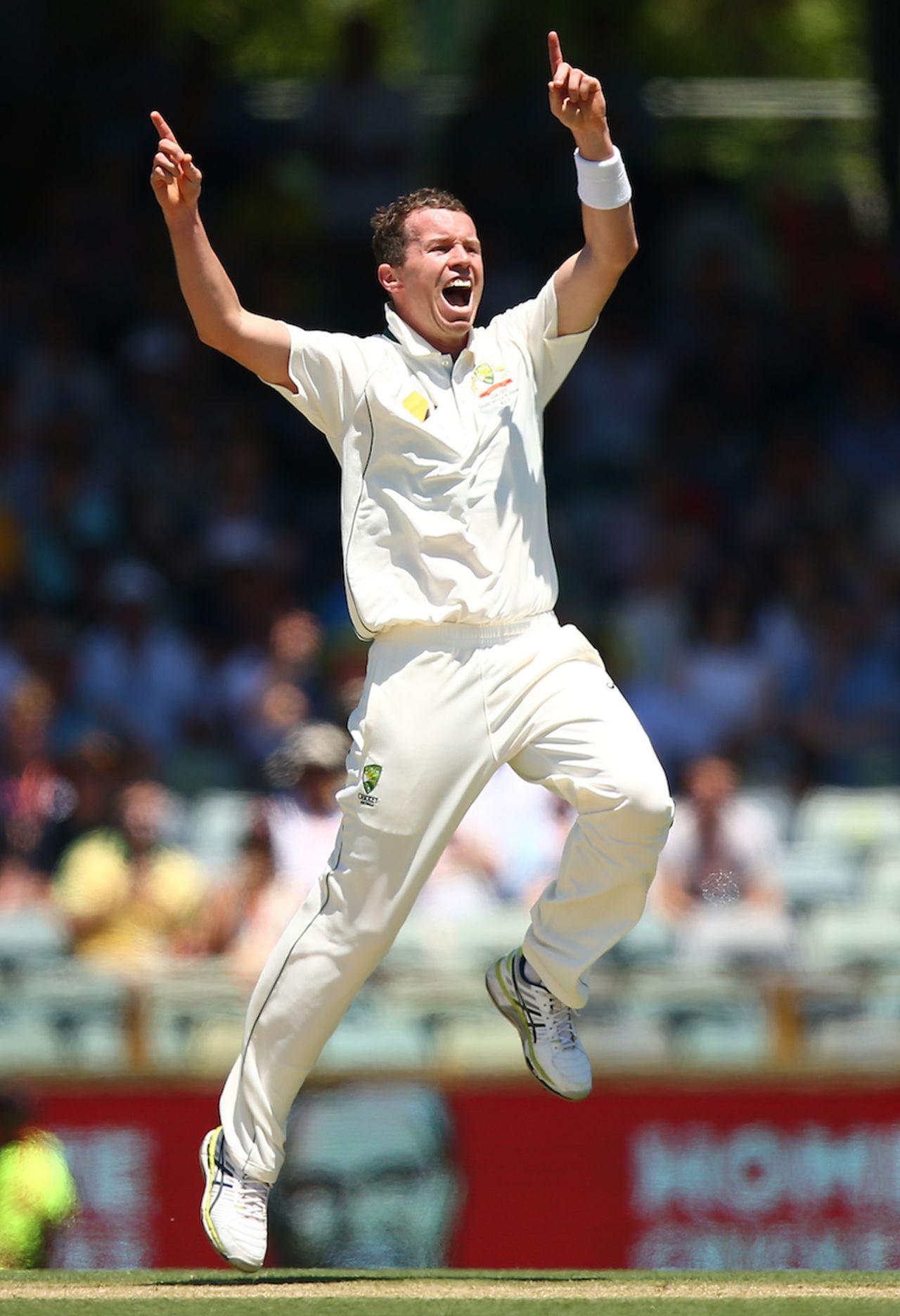 Peter Siddle had JP Duminy edge one behind, Australia v South Africa, 1st Test, Perth, 1st day, November 3, 2016