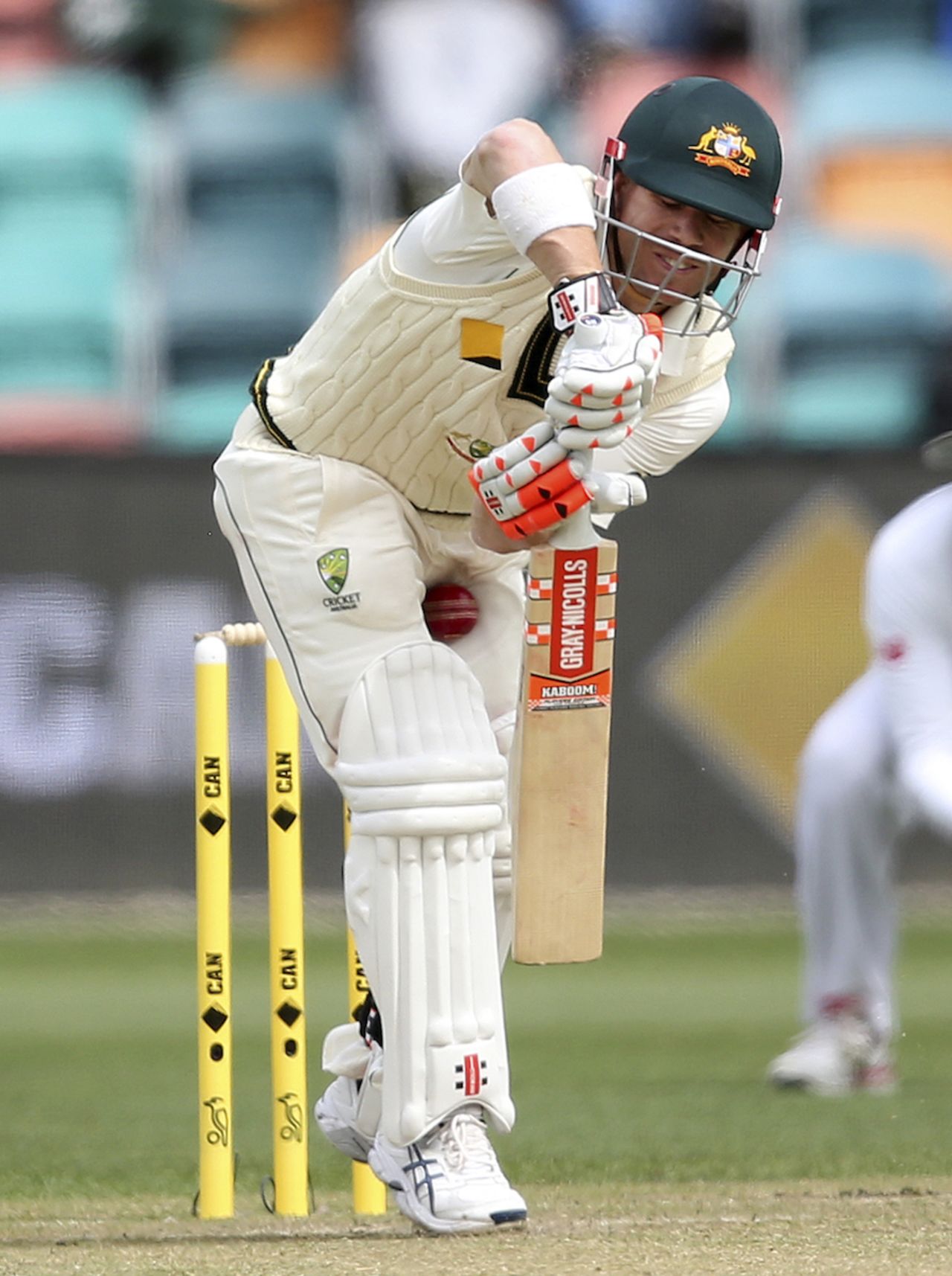 David Warner gets hit, Australia v South Africa, 2nd Test, Hobart, 3rd day, November 14, 2016
