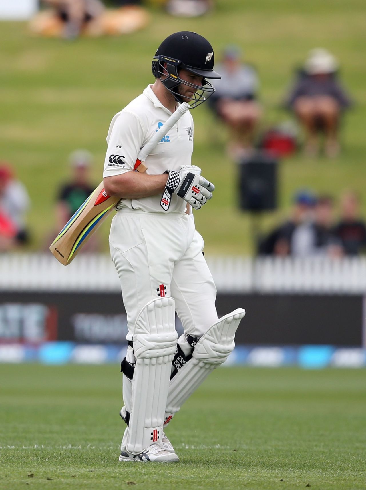 Kane Williamson fell to a dubious caught-behind decision, New Zealand v Pakistan, 2nd Test, Hamilton, 1st day, November 25, 2016