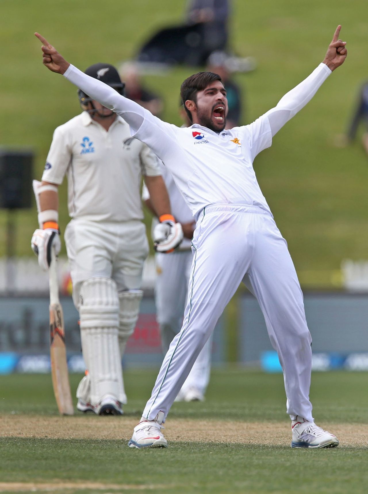 Mohammad Amir celebrates after dismissing Jeet Raval, New Zealand v Pakistan, 2nd Test, Hamilton, 4th day, November 28, 2016