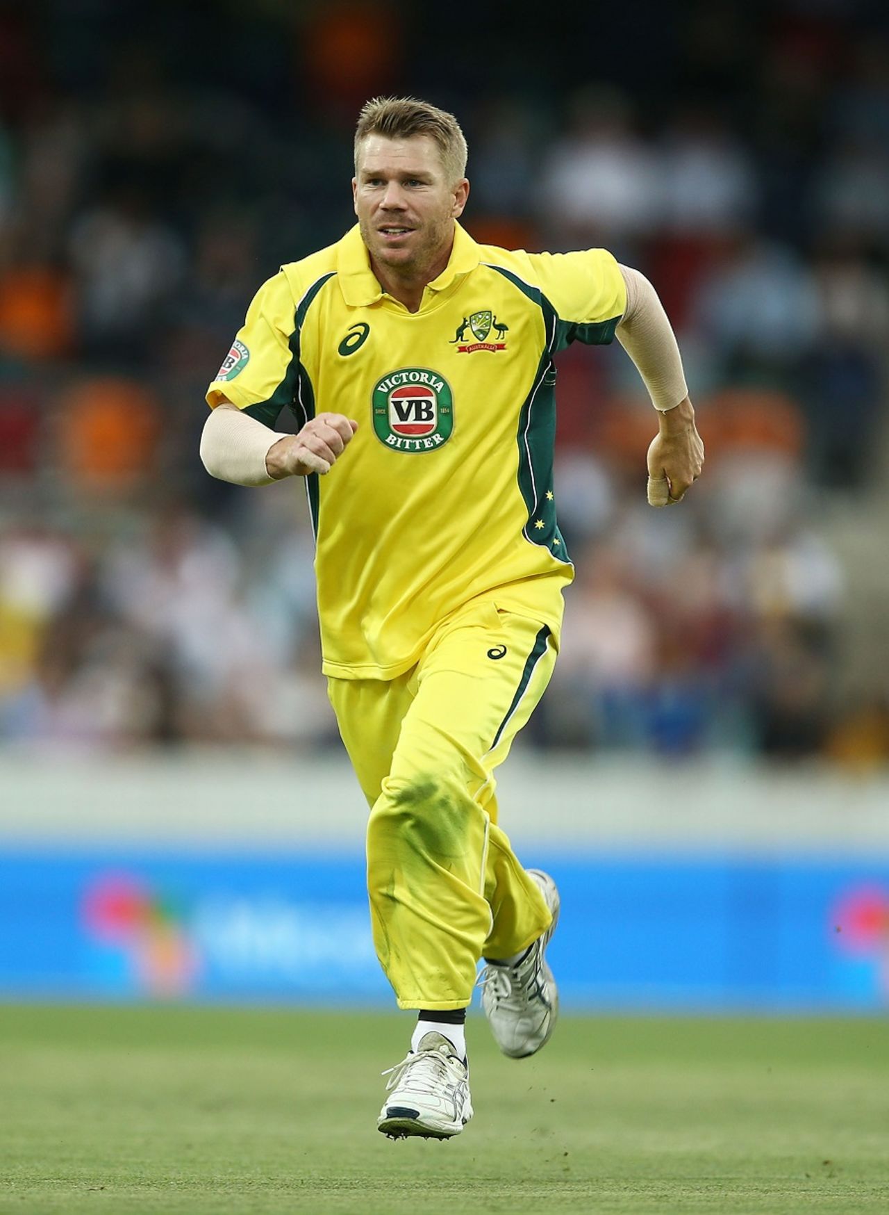 David Warner gives the ball a chase, Australia v New Zealand, 2nd ODI, Canberra, December 6, 2016