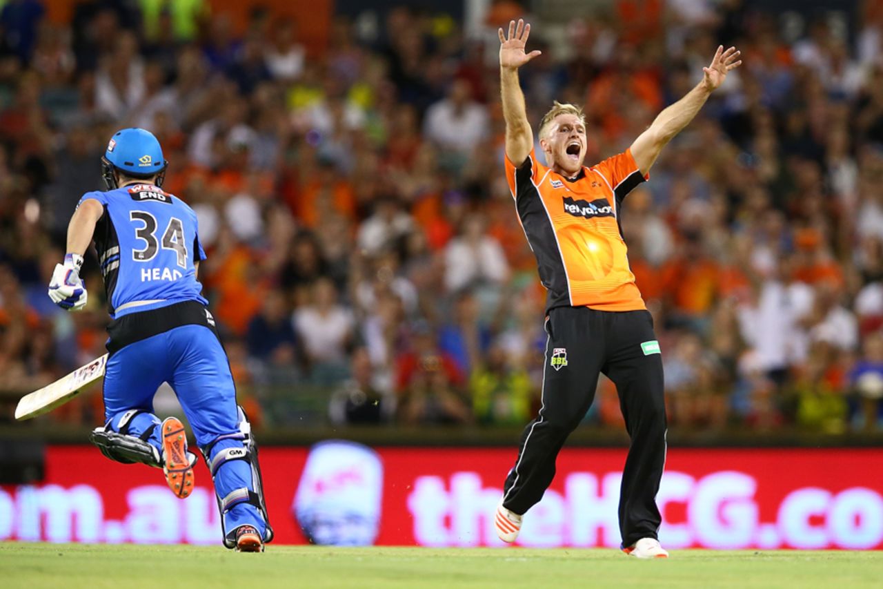 David Willey appeals for the wicket of Weatherald, Perth Scorchers v Adelaide Strikers, Big Bash League, Perth, December 23, 2016