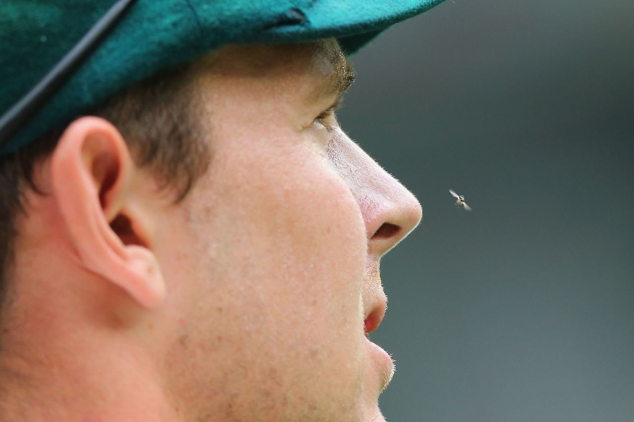 A fly hovers around Josh Hazlewood's face, Australia v Pakistan, 2nd Test, 1st day, Melbourne, December 26, 2016