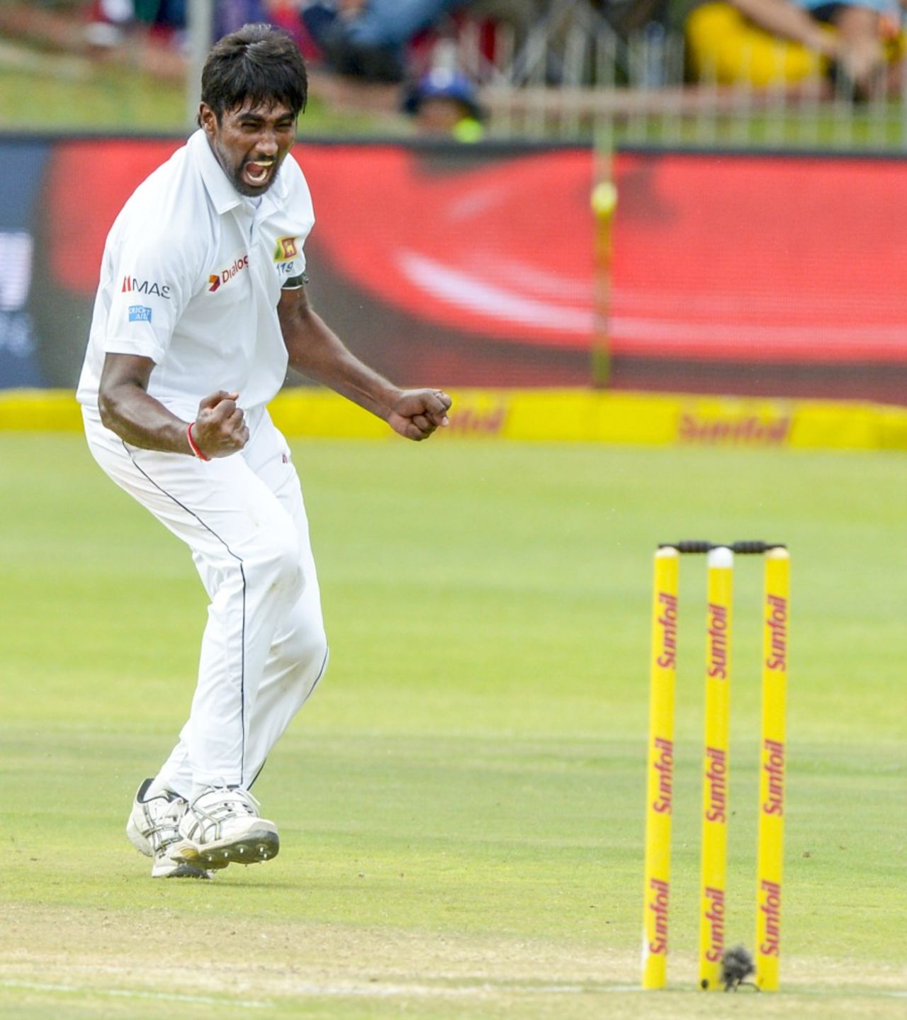 Nuwan Pradeep's wicket marked the 10000th lbw in Tests, South Africa v Sri Lanka, 1st Test, Port Elizabeth, 3rd day, December 28, 2016