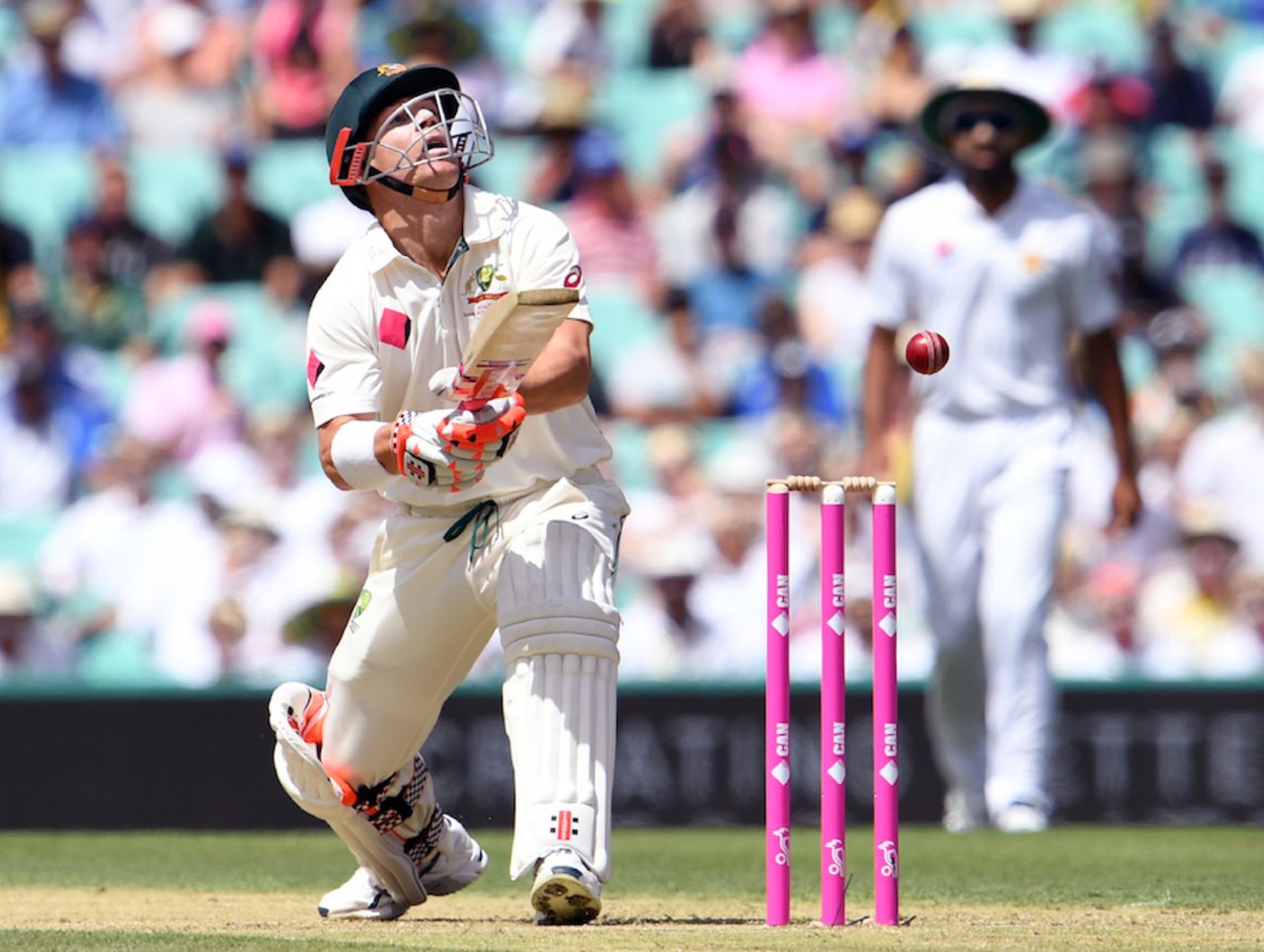 David Warner tries to spot the ball, Australia v Pakistan, 3rd Test, Sydney, 1st day, January 3, 2017