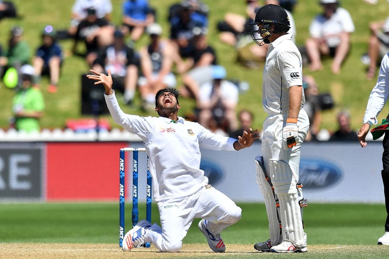 Mehedi Hasan Miraz celebrates after catching Jeet Raval off his own bowling, New Zealand v Bangladesh, 1st Test, Wellington, 5th day, January 16, 2017