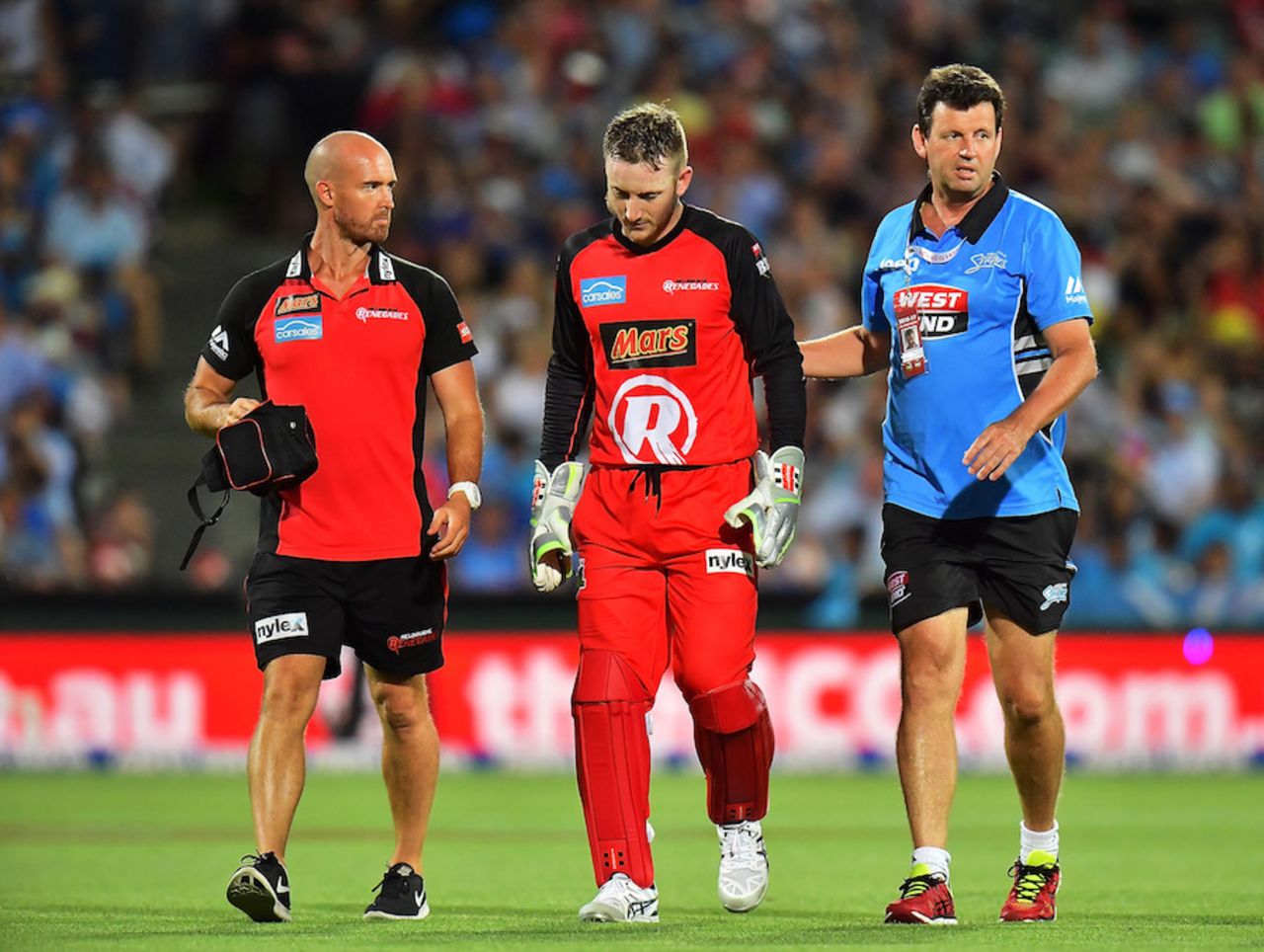 Peter Nevill is accompanied off the field after being struck in the face by Brad Hodge's bat, Adelaide Strikers v Melbourne Renegades, BBL 2016-17, Adelaide, January 16, 2017