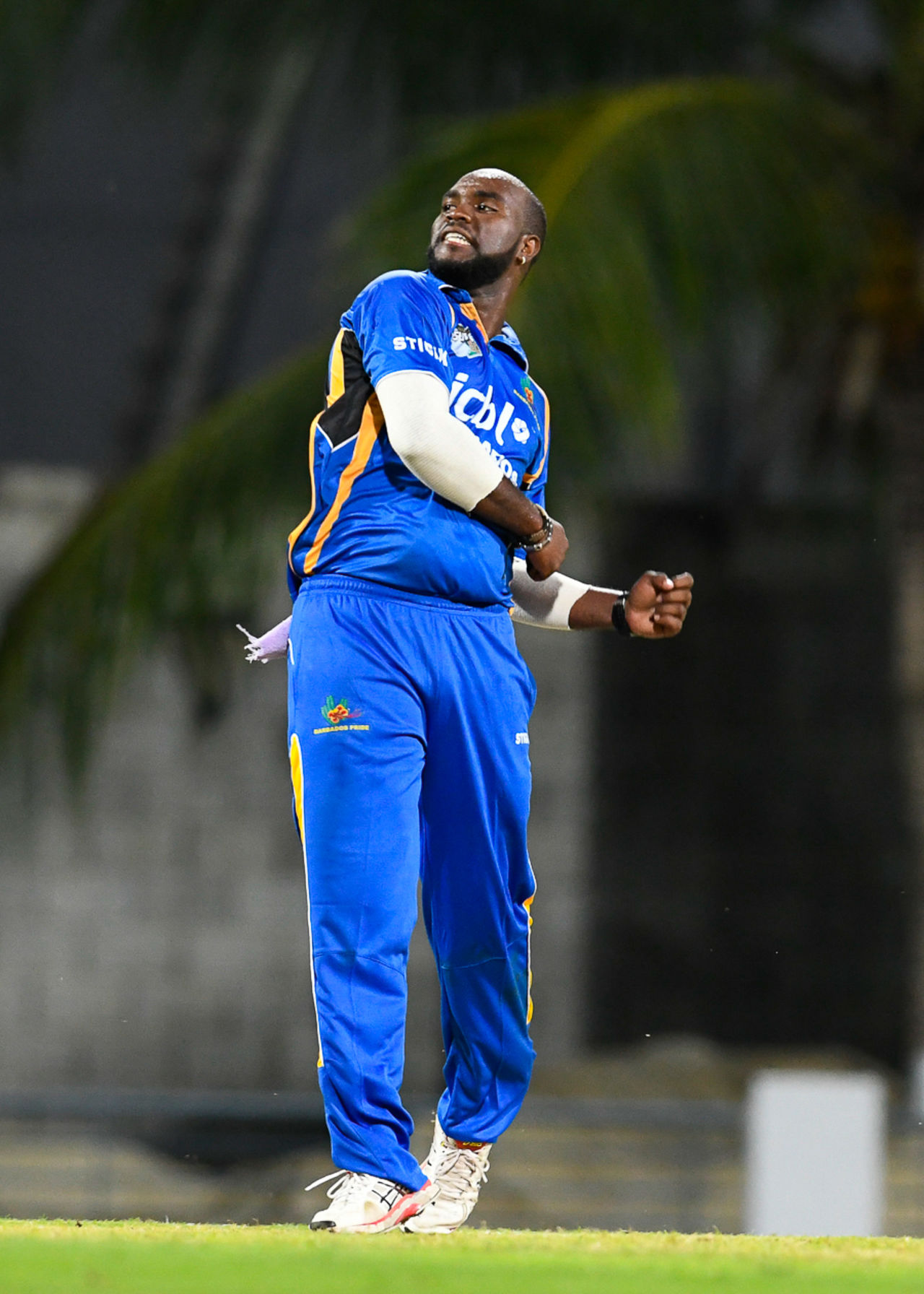 Ashley Nurse celebrates after taking one of his four wickets, Barbados v Guyana, Regional Super50, Group B, Bridgetown, January 24, 2017