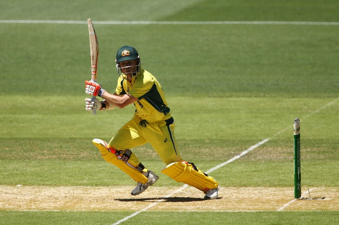 David Warner plays a square drive, Australia v Pakistan, 5th ODI, Adelaide, January 26, 2017
