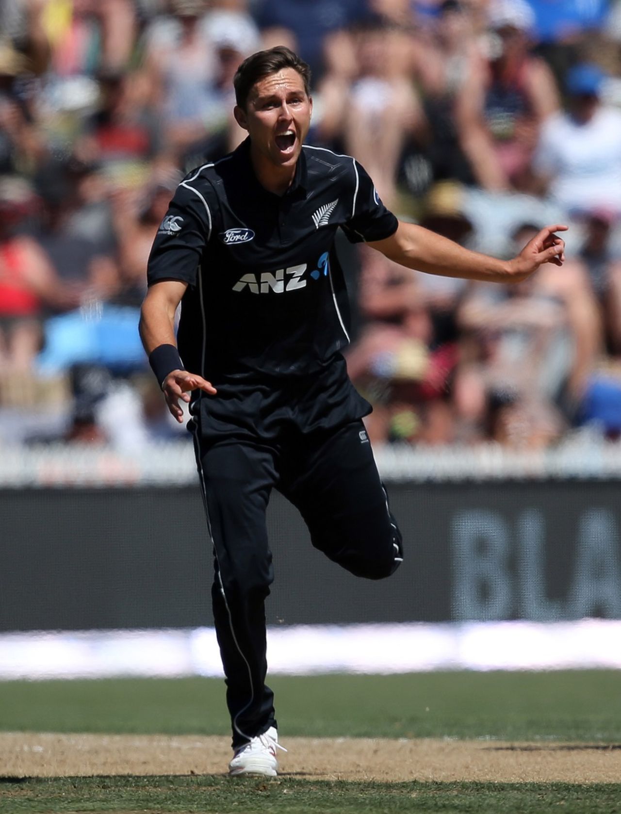 Trent Boult picked up crucial wickets, New Zealand v Australia, 3rd ODI, Hamilton, February 5, 2017
