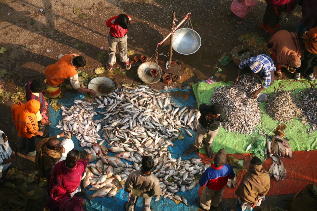 A local fish market  in Ranchi with the day's catch