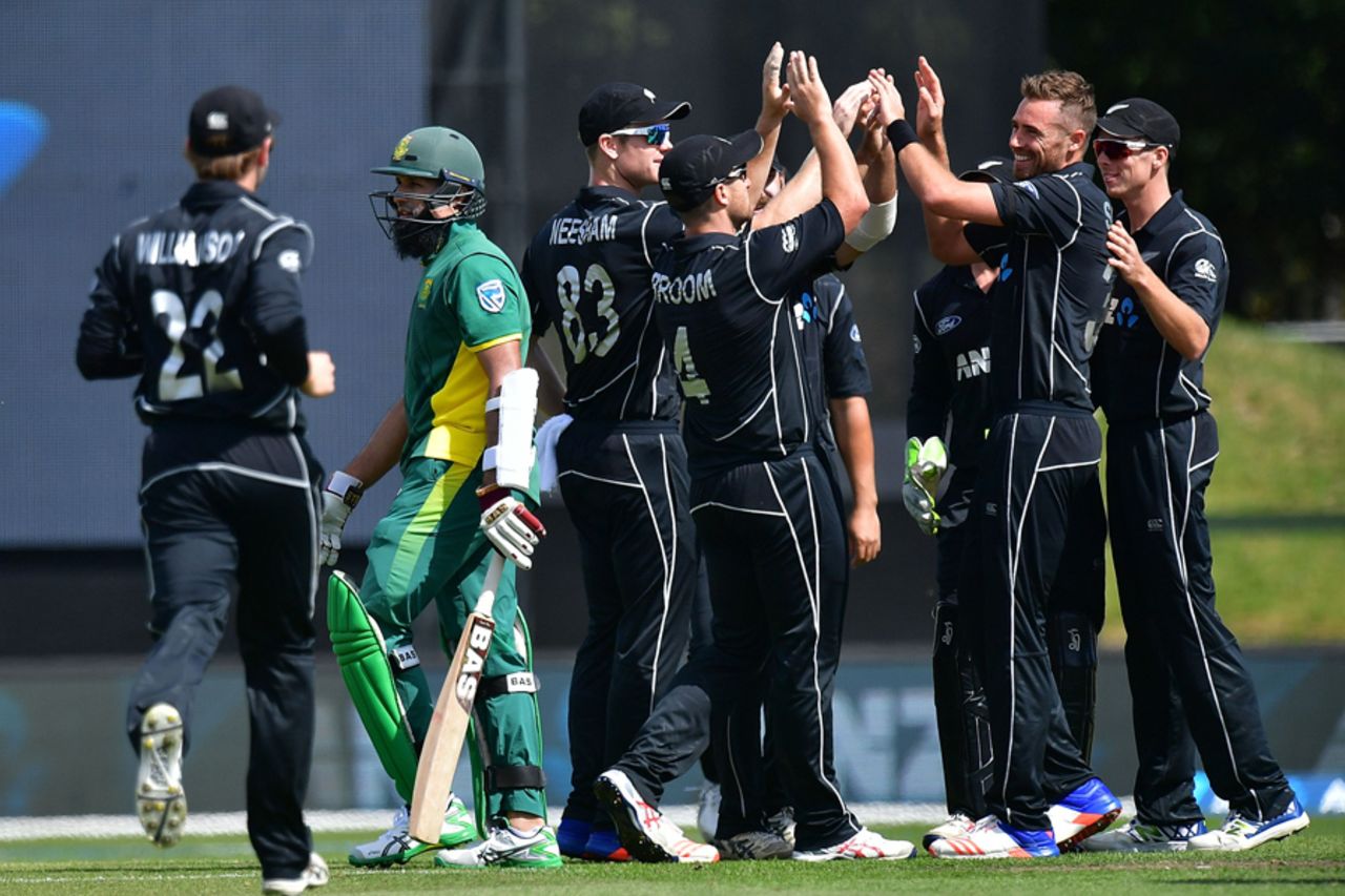 New Zealand celebrate Hashim Amla's wicket, New Zealand v South Africa, 2nd ODI, Christchurch, February 22, 2017