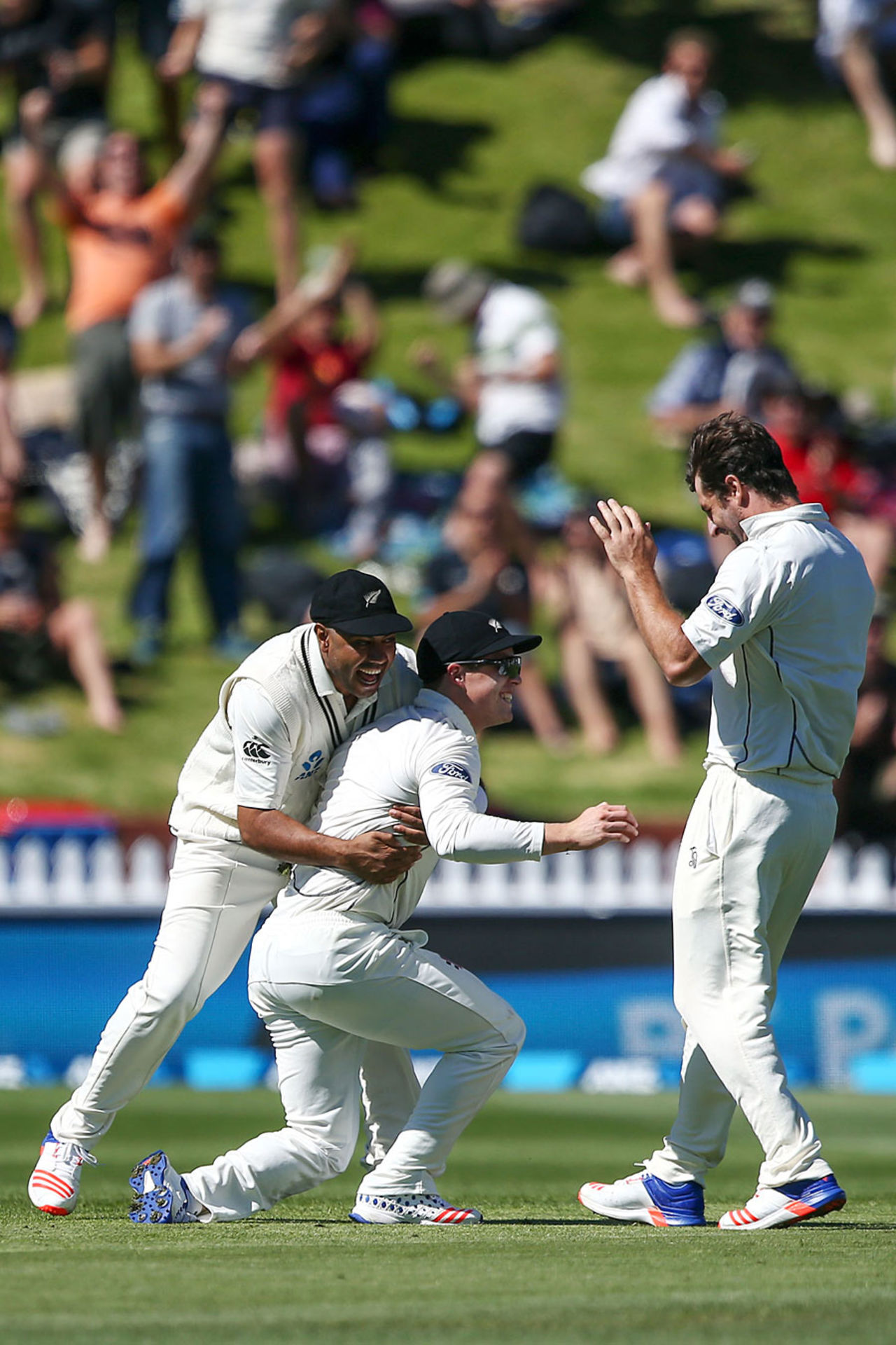 Henry Nicholls held a rebound catch to remove Hashim Amla, New Zealand v South Africa, 2nd Test, Wellington, 2nd day, March 17, 2016