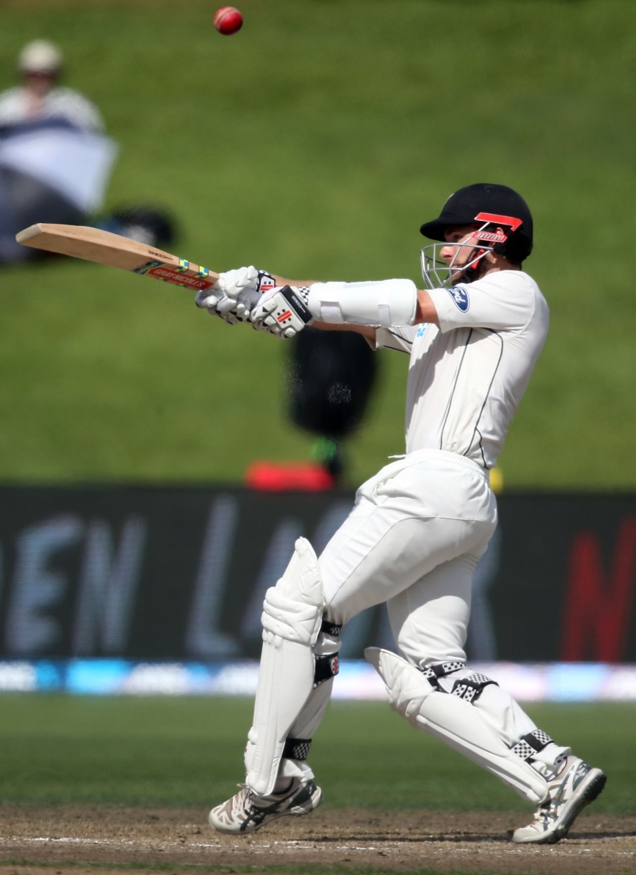 Kane Williamson top-edged a hook to be caught at long leg, New Zealand v South Africa, 3rd Test, Hamilton, 4th day, March 28, 2017