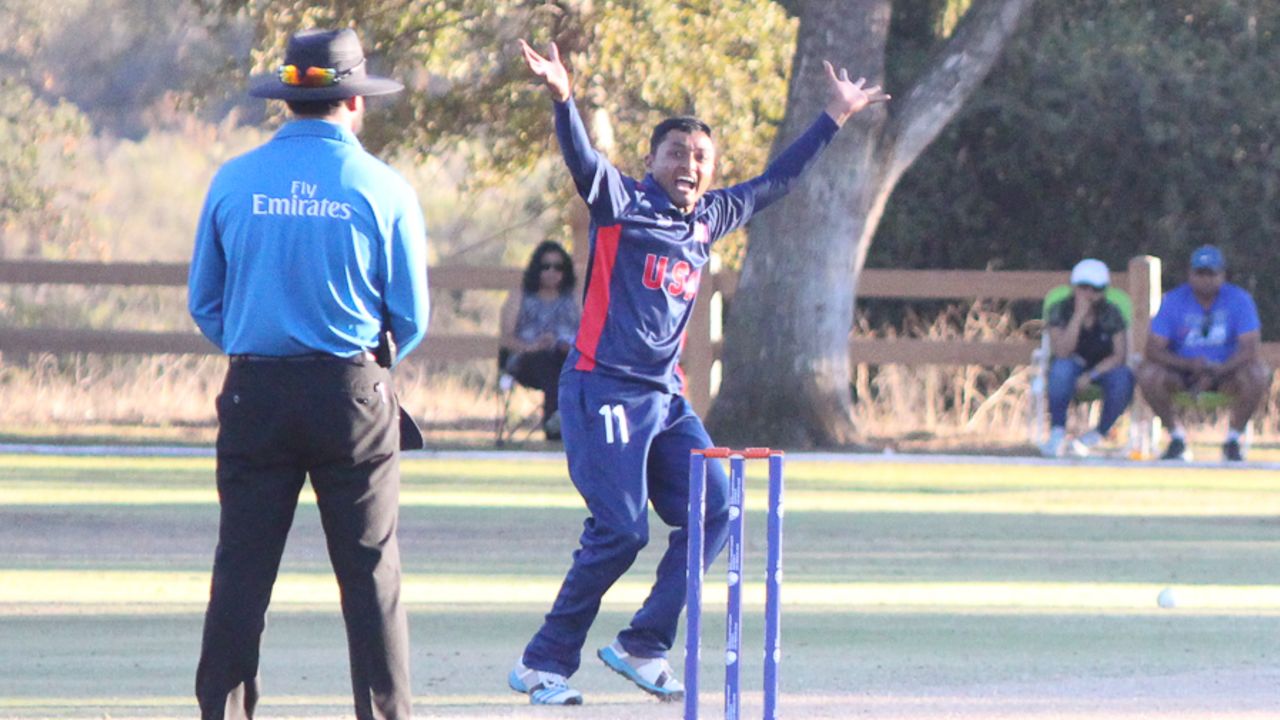 Timil Patel shouts a strong appeal for lbw, USA v Oman, ICC World Cricket League Division Four Final, Los Angeles, November 5, 2016
